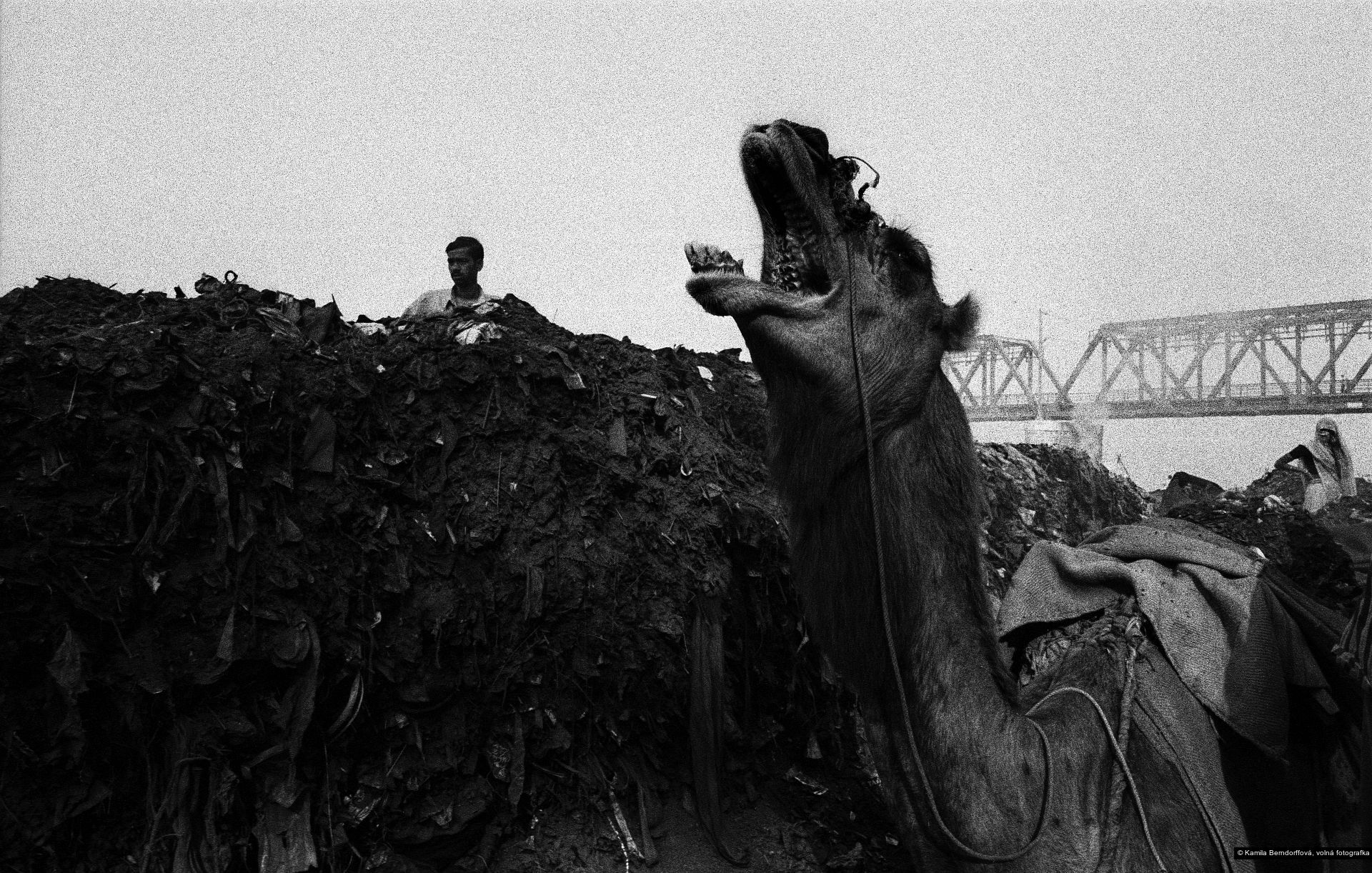 Kamila Berndorffová