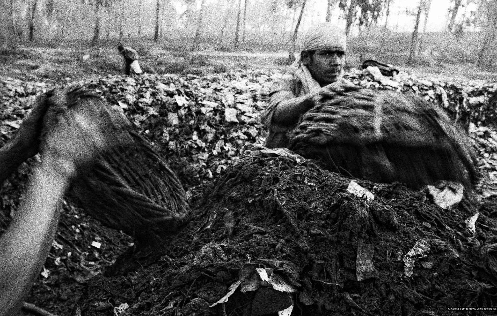 Kamila Berndorffová