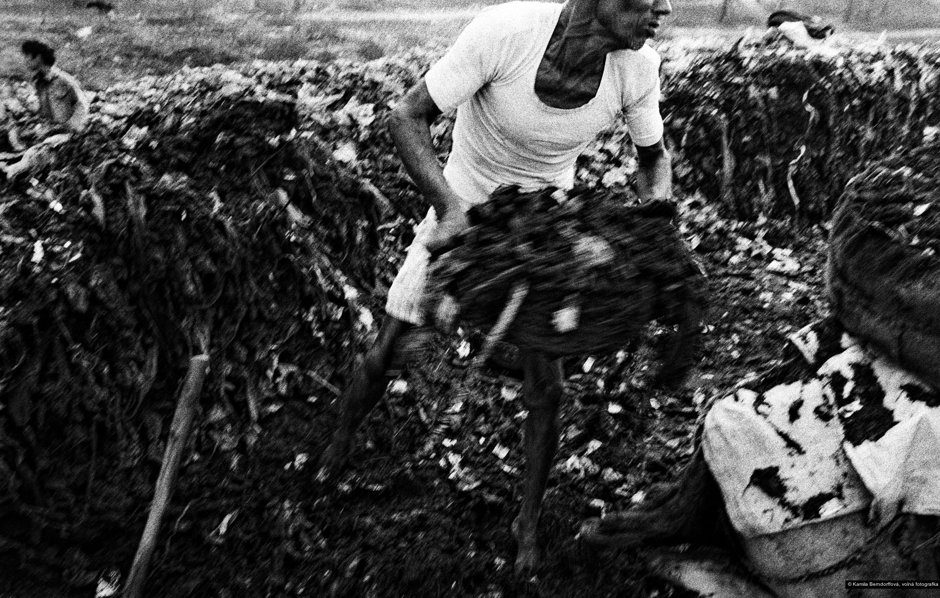 Kamila Berndorffová