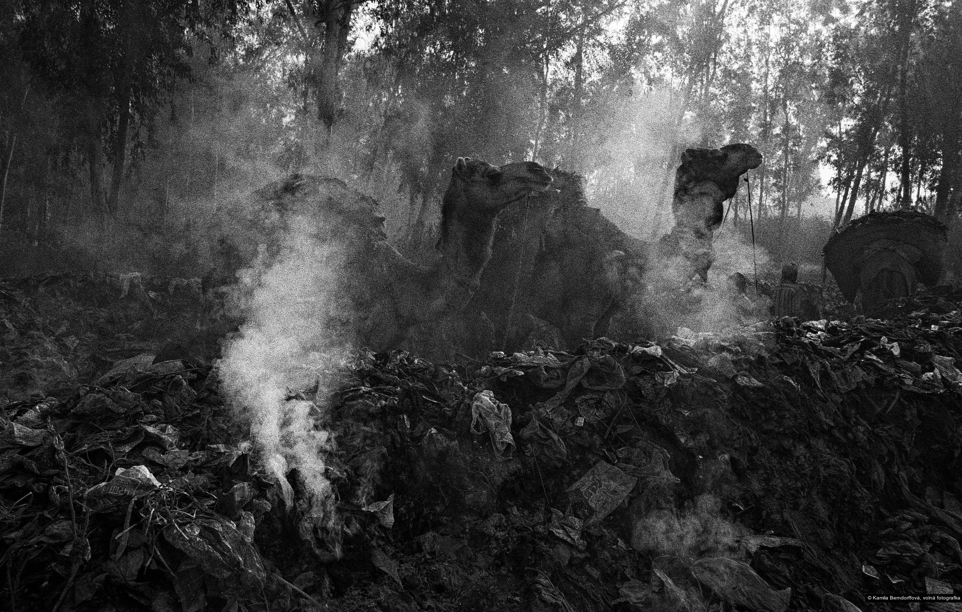 Kamila Berndorffová