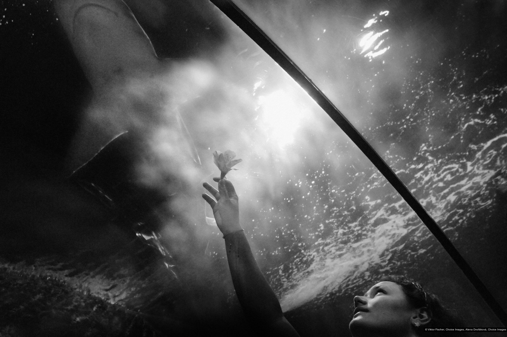 Viktor Fischer, Alena Dvořáková