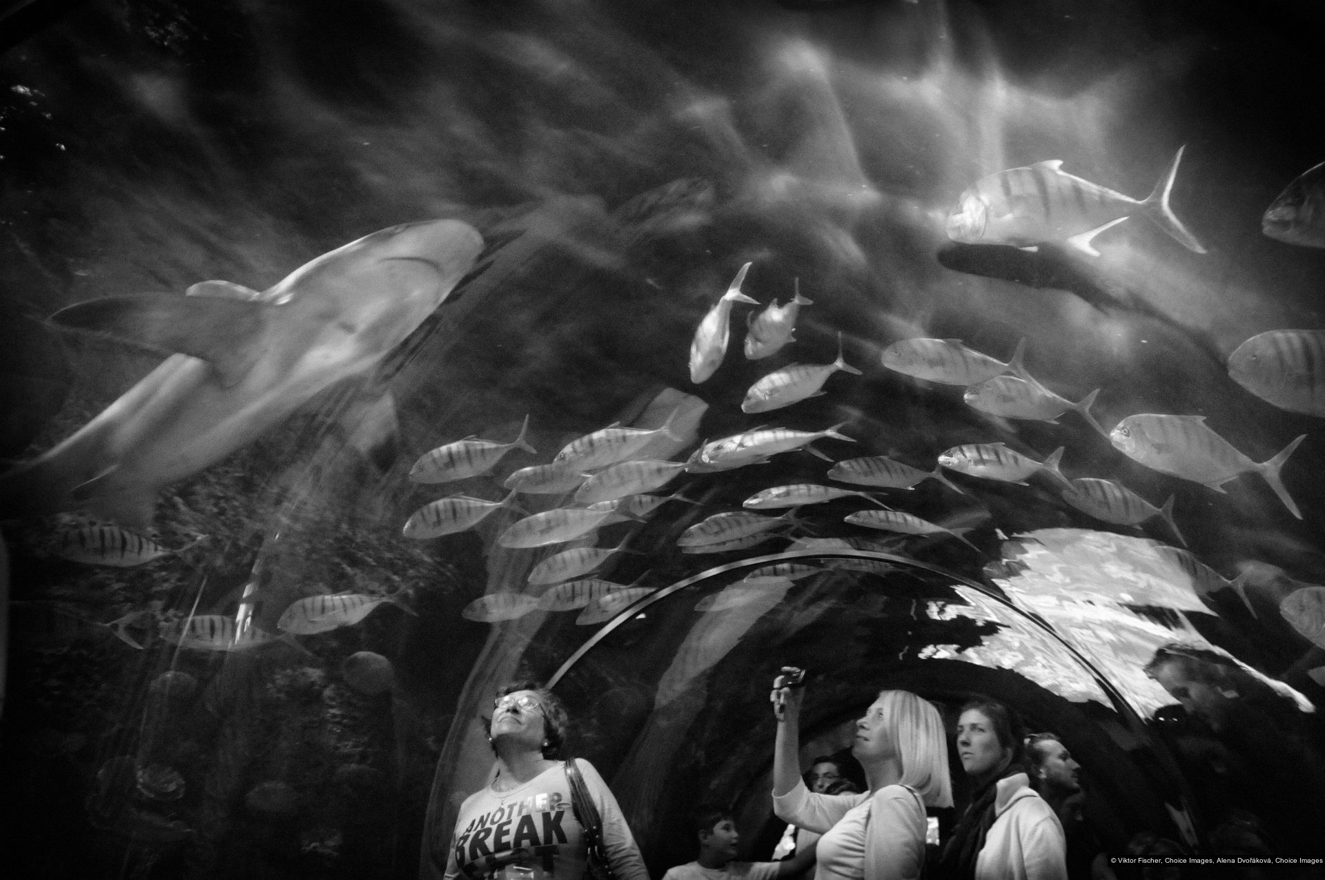 Viktor Fischer, Alena Dvořáková