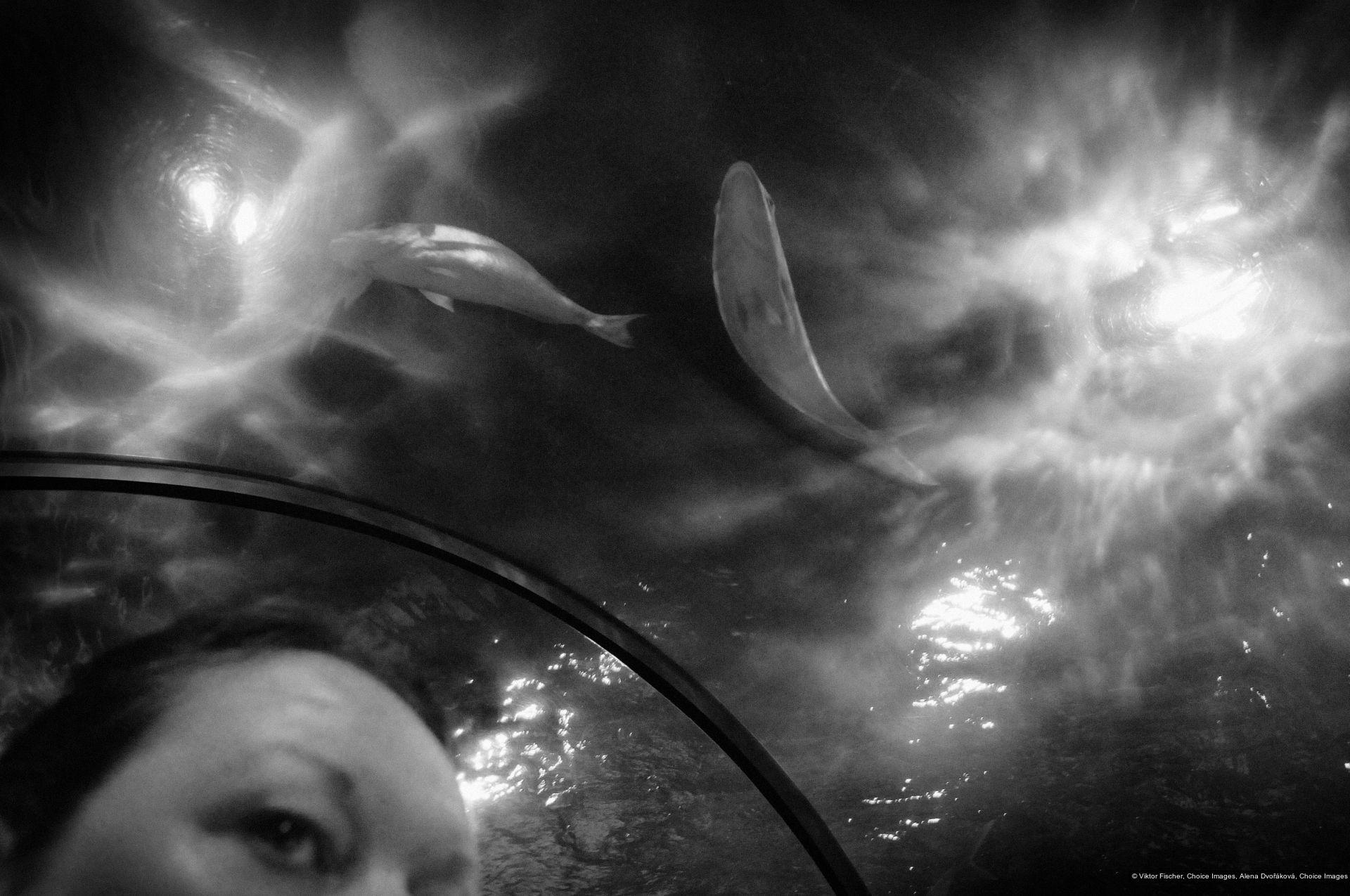 Viktor Fischer, Alena Dvořáková