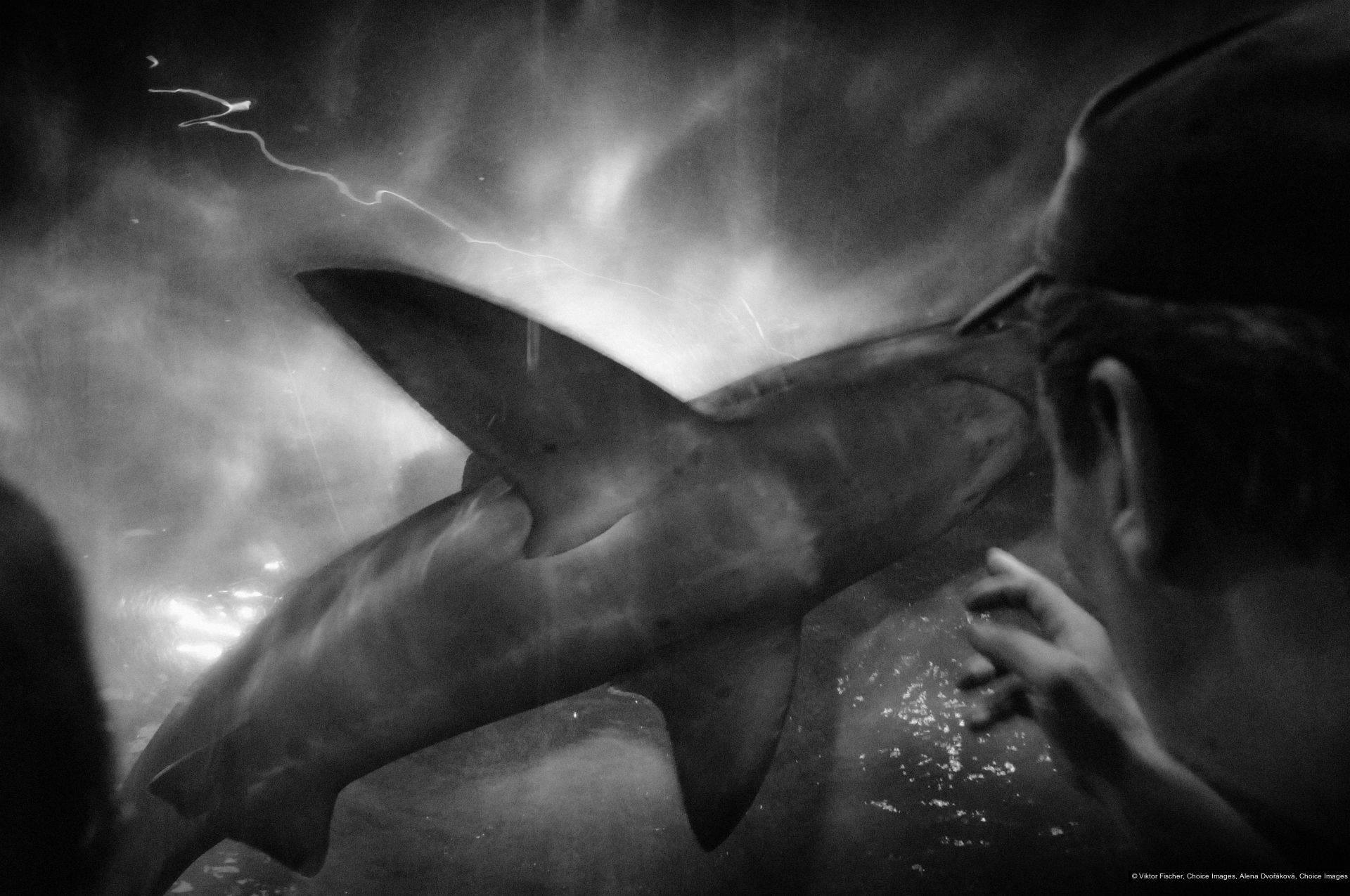 Viktor Fischer, Alena Dvořáková