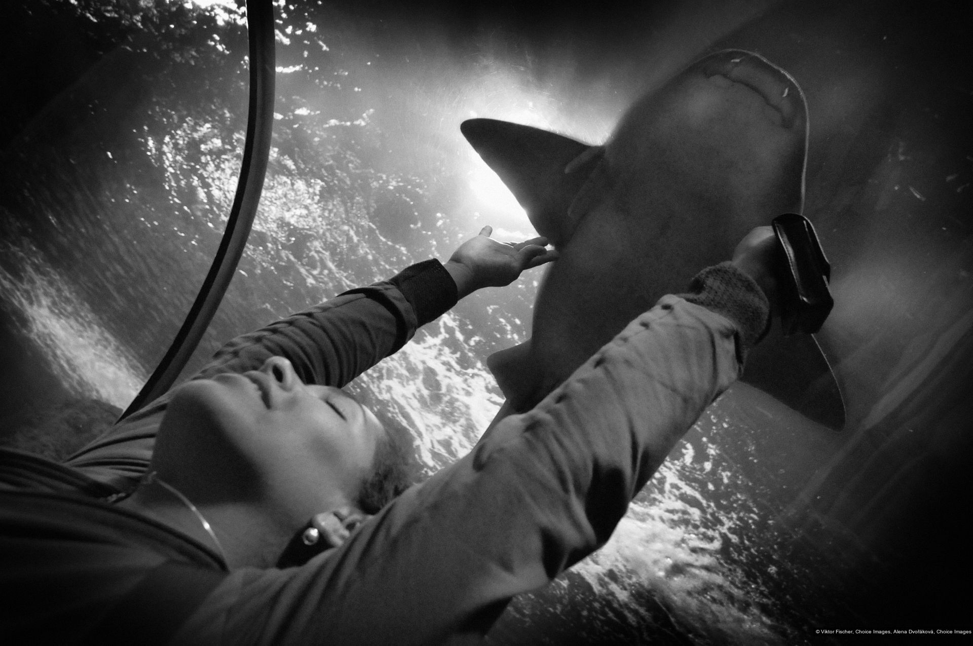 Viktor Fischer, Alena Dvořáková