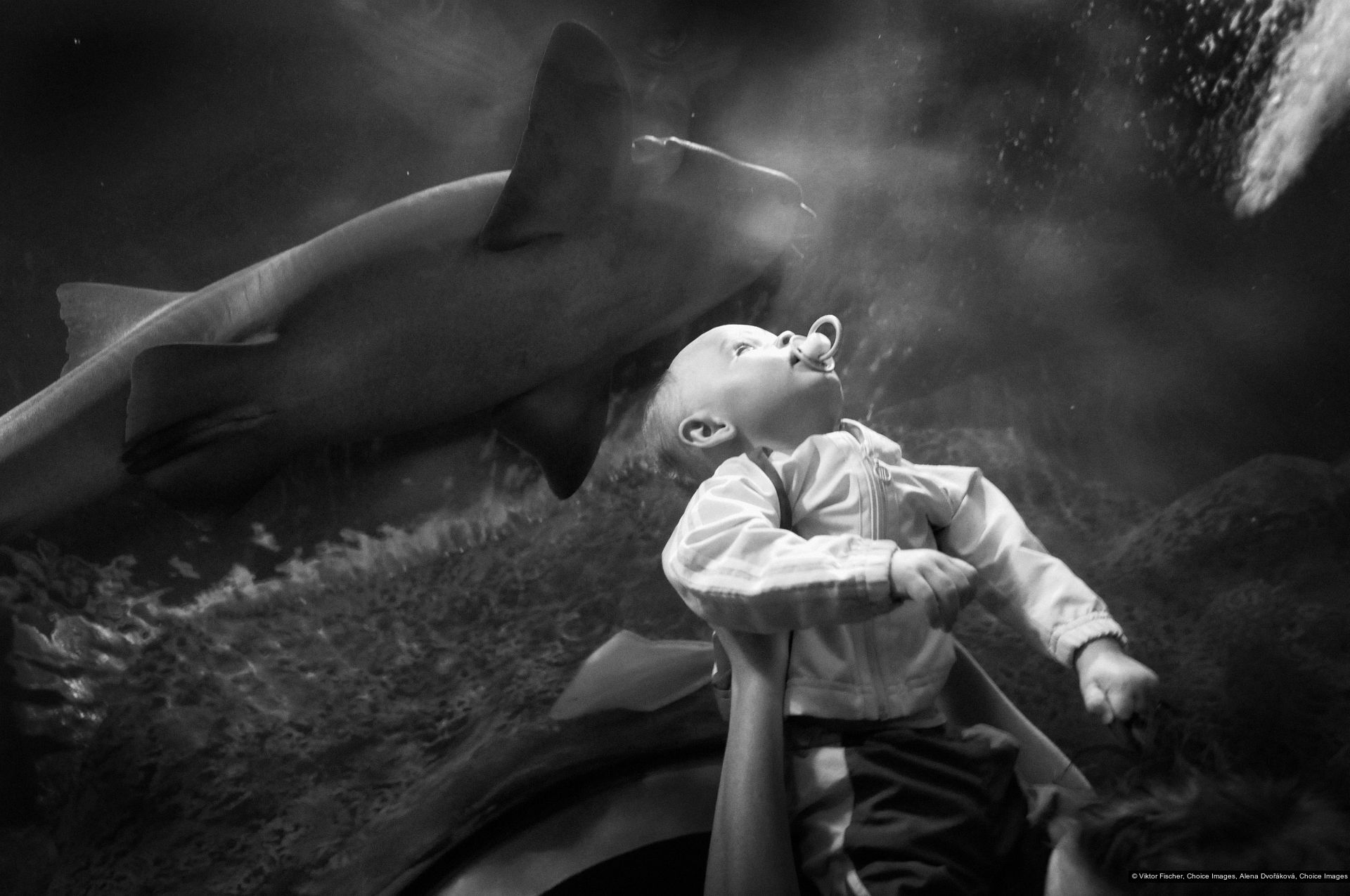 Viktor Fischer, Alena Dvořáková