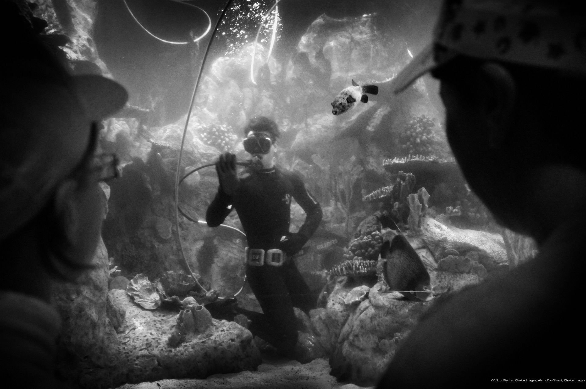 Viktor Fischer, Alena Dvořáková