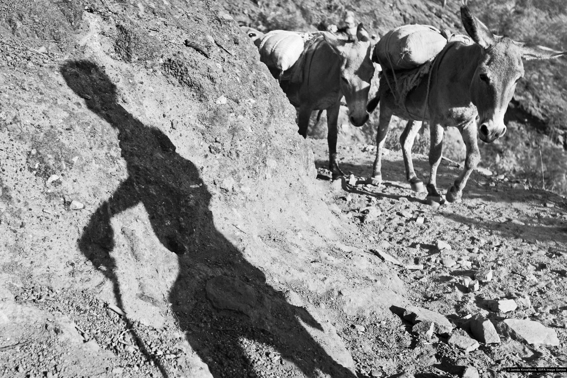 Jarmila Kovaříková