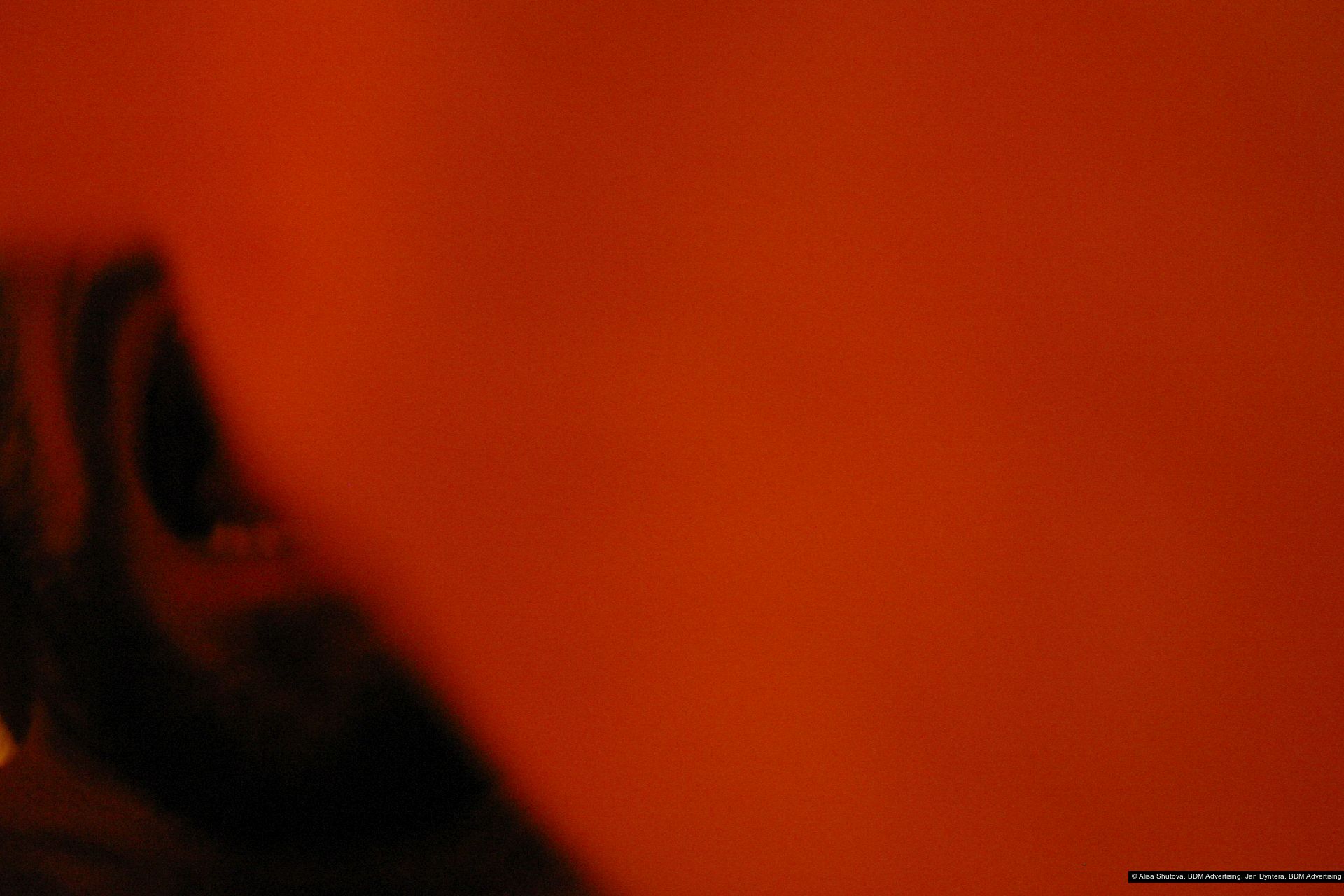 Alisa Shutova, Jan Dyntera