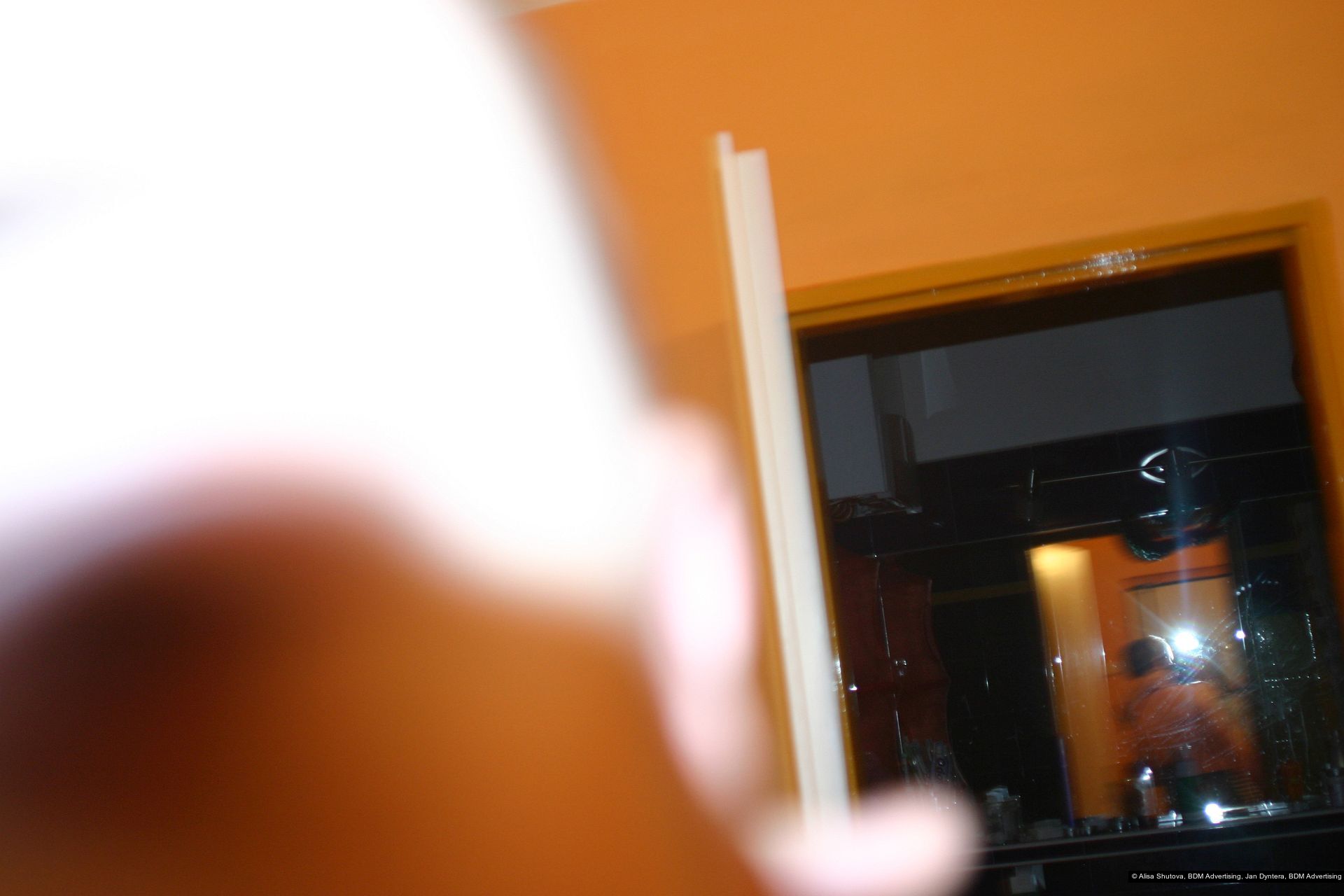 Alisa Shutova, Jan Dyntera