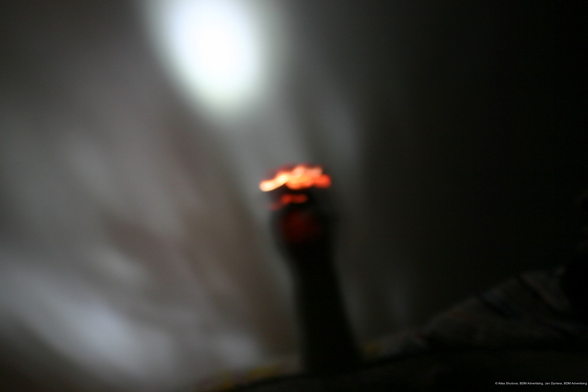 Alisa Shutova, Jan Dyntera