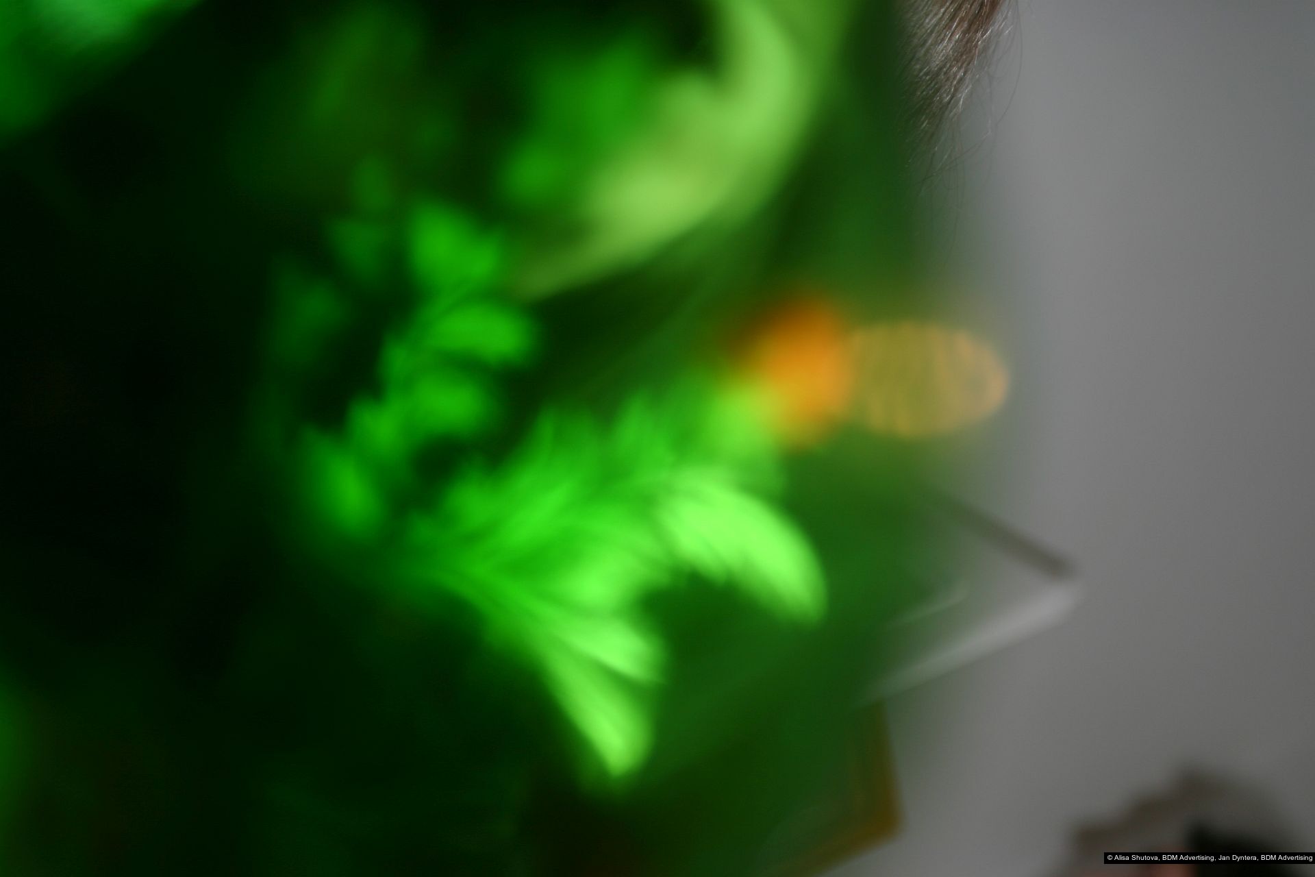 Alisa Shutova, Jan Dyntera