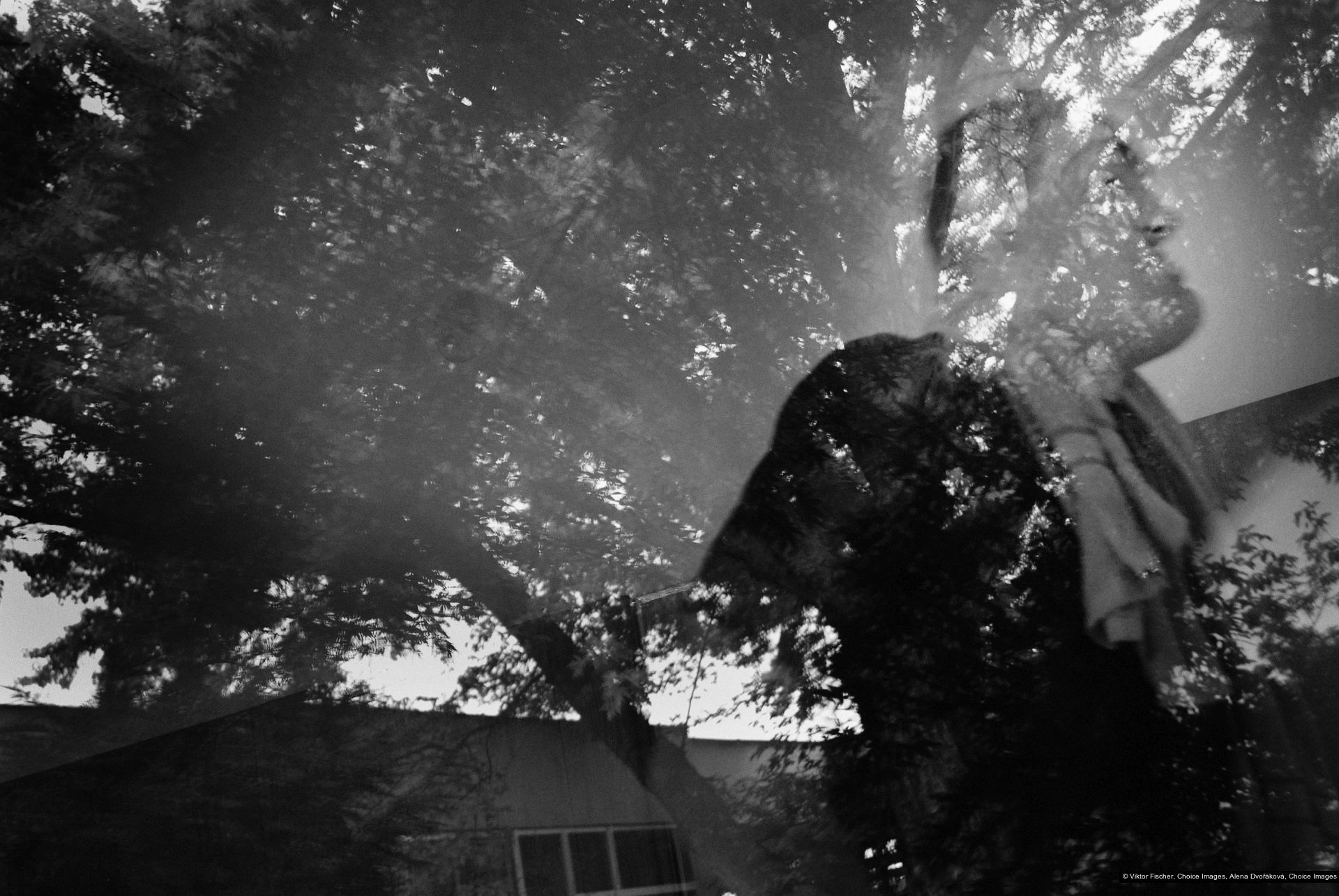 Viktor Fischer, Alena Dvořáková