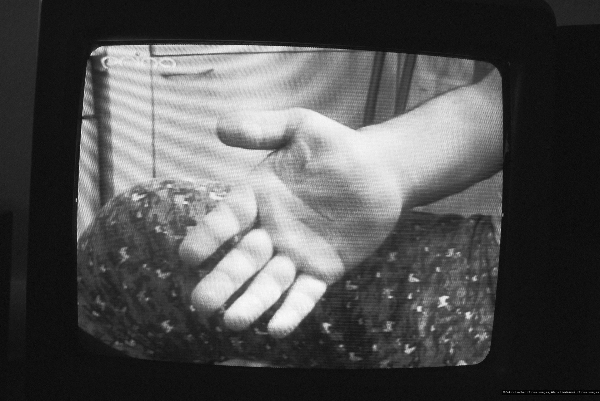 Viktor Fischer, Alena Dvořáková