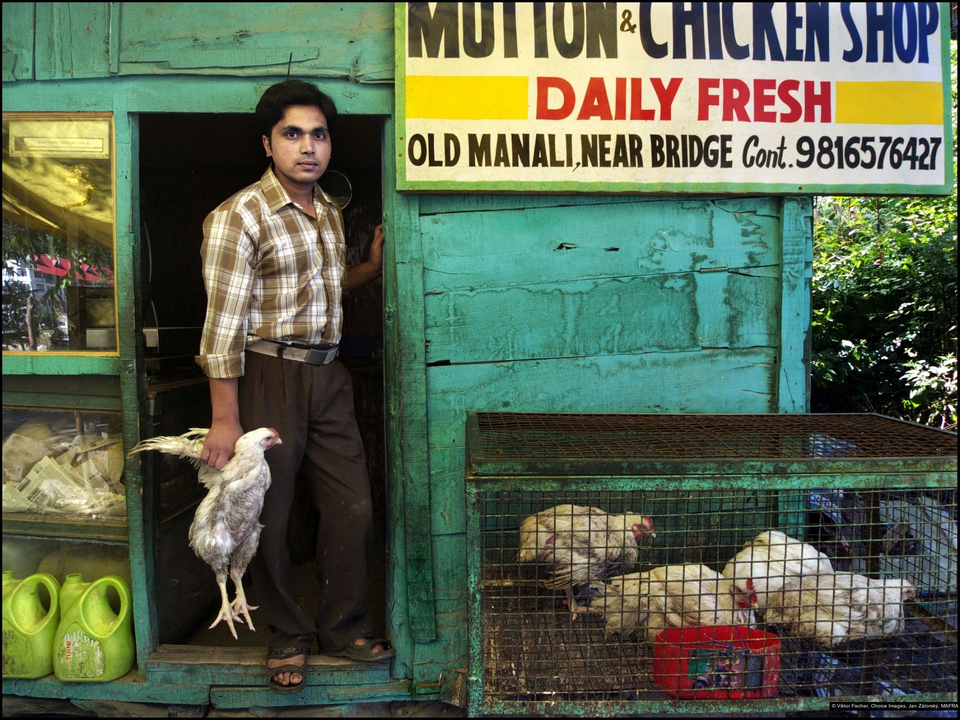 Viktor Fischer, Jan Zátorský