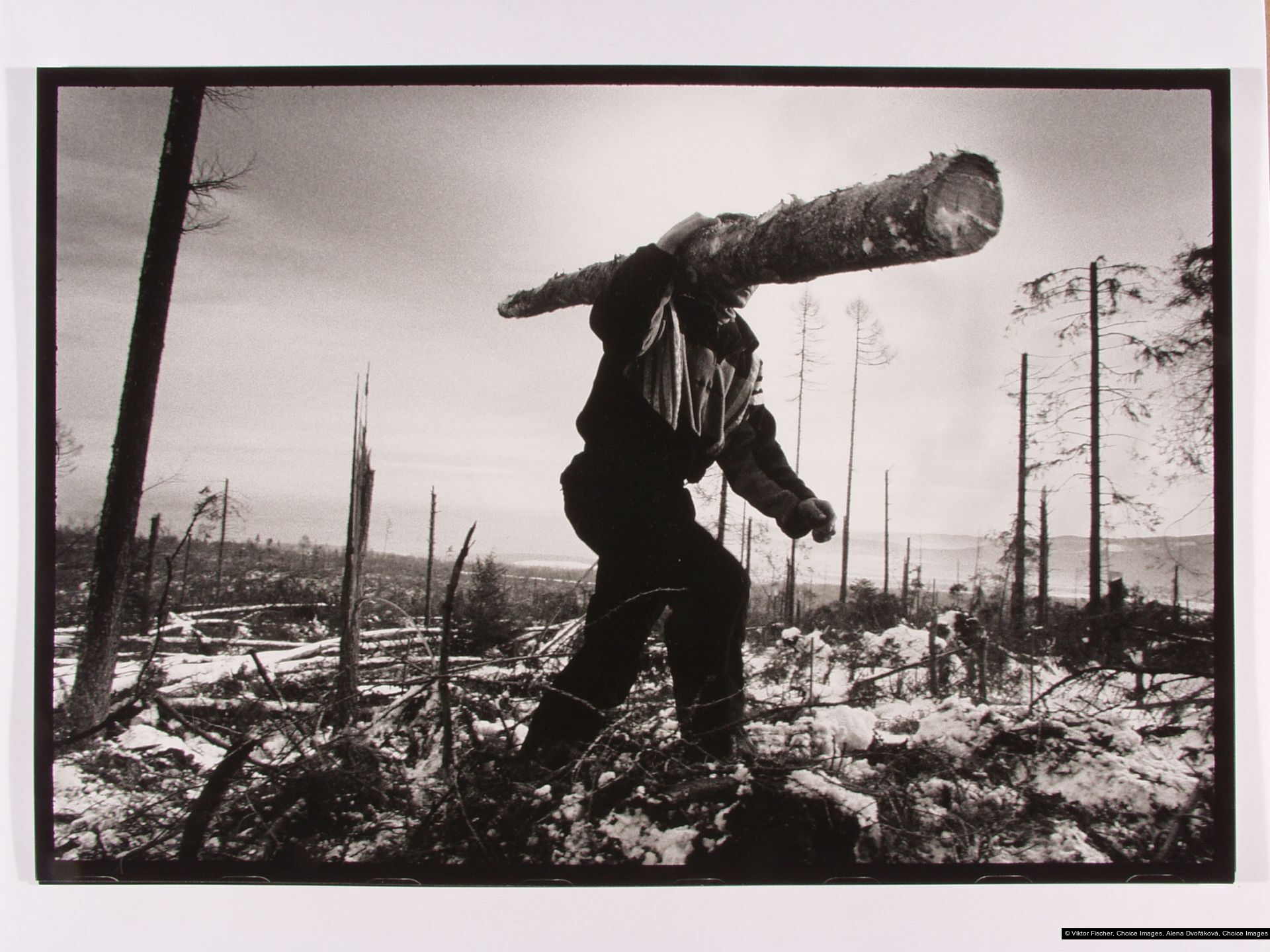 Viktor Fischer, Alena Dvořáková