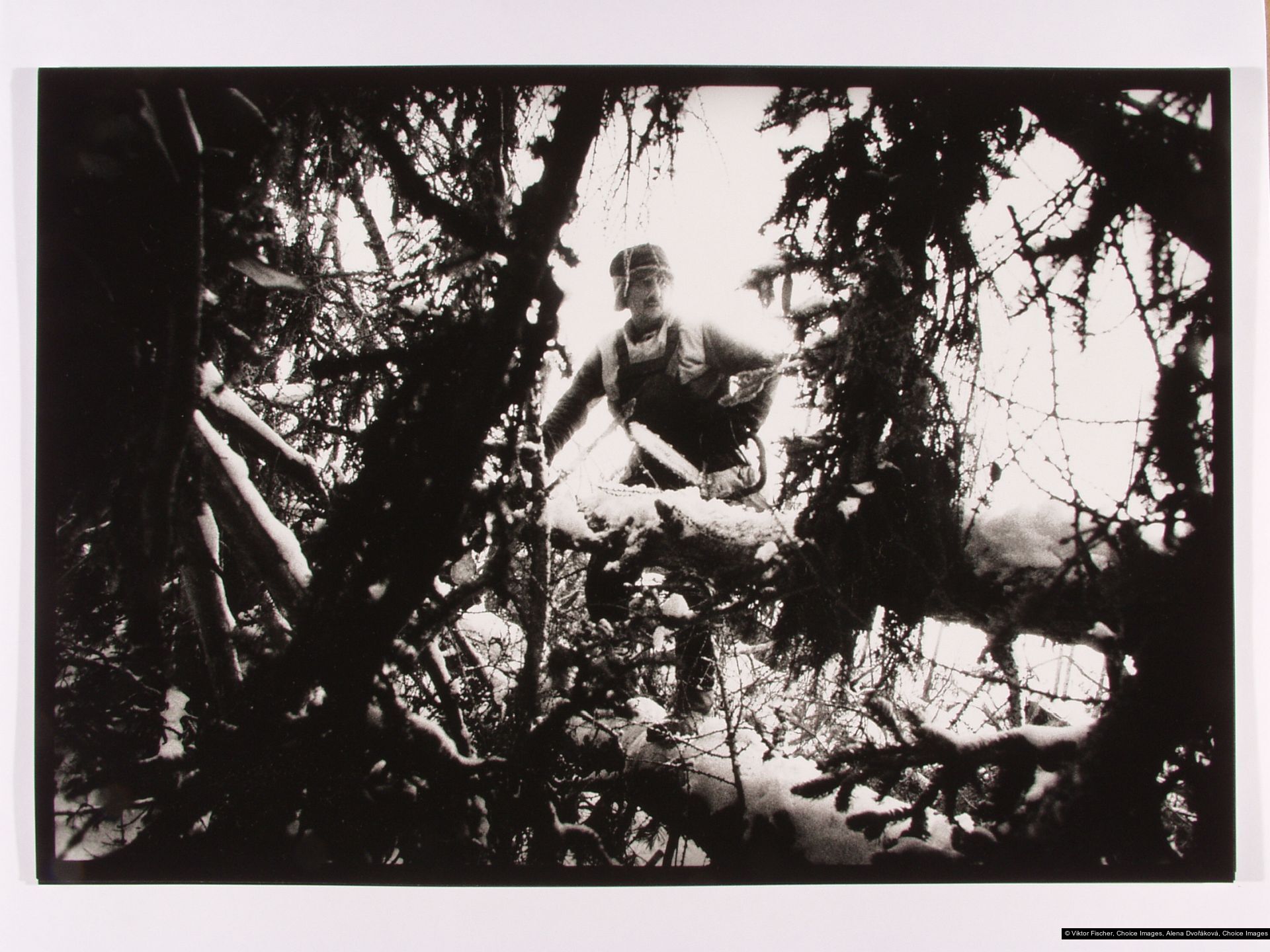 Viktor Fischer, Alena Dvořáková