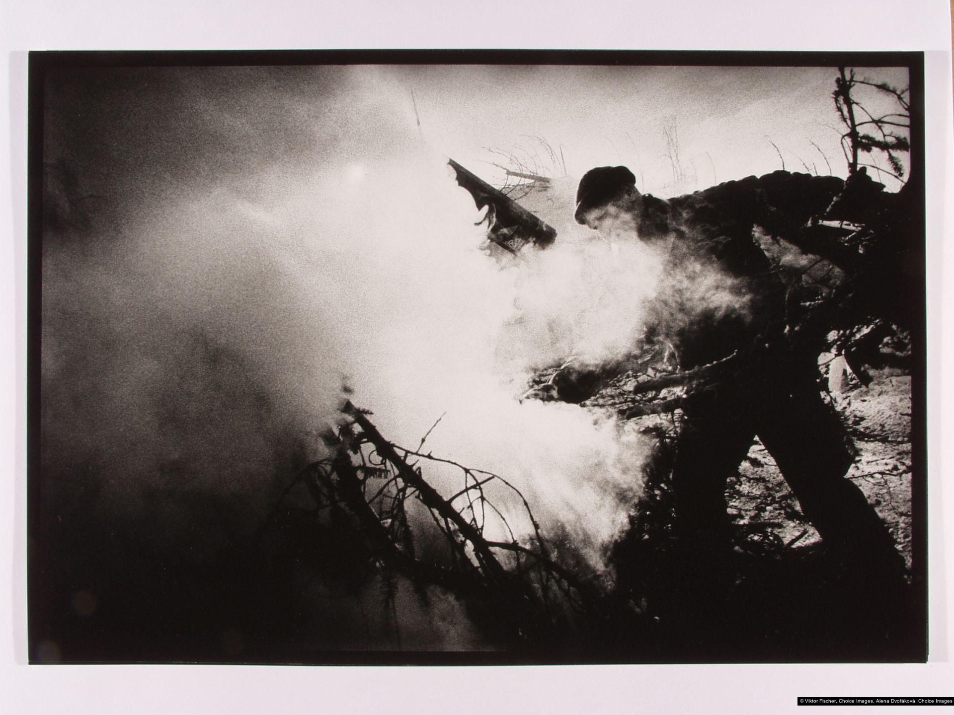 Viktor Fischer, Alena Dvořáková