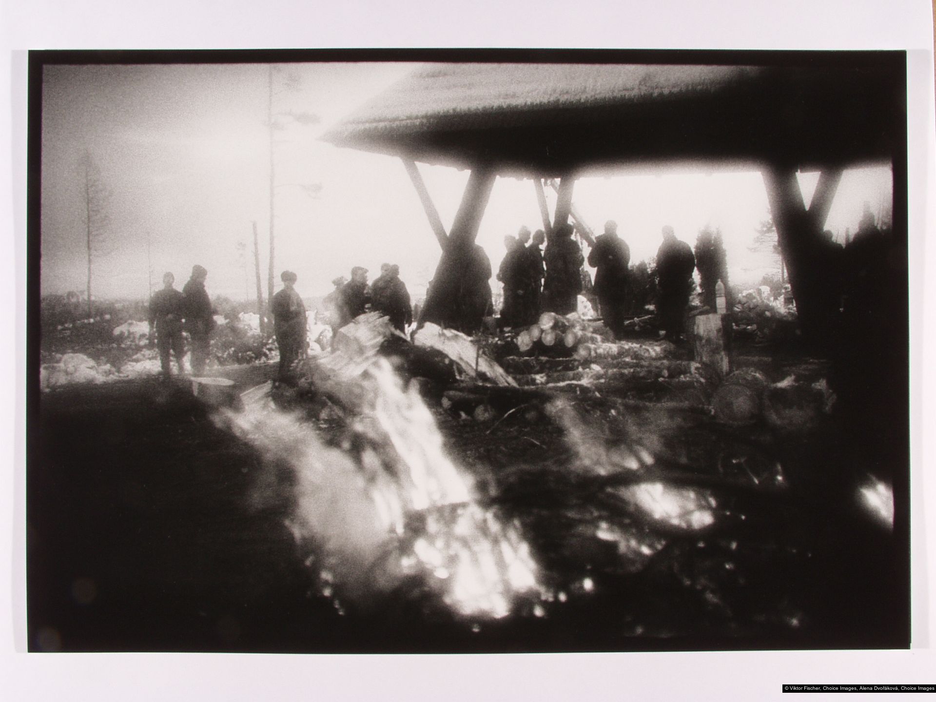 Viktor Fischer, Alena Dvořáková