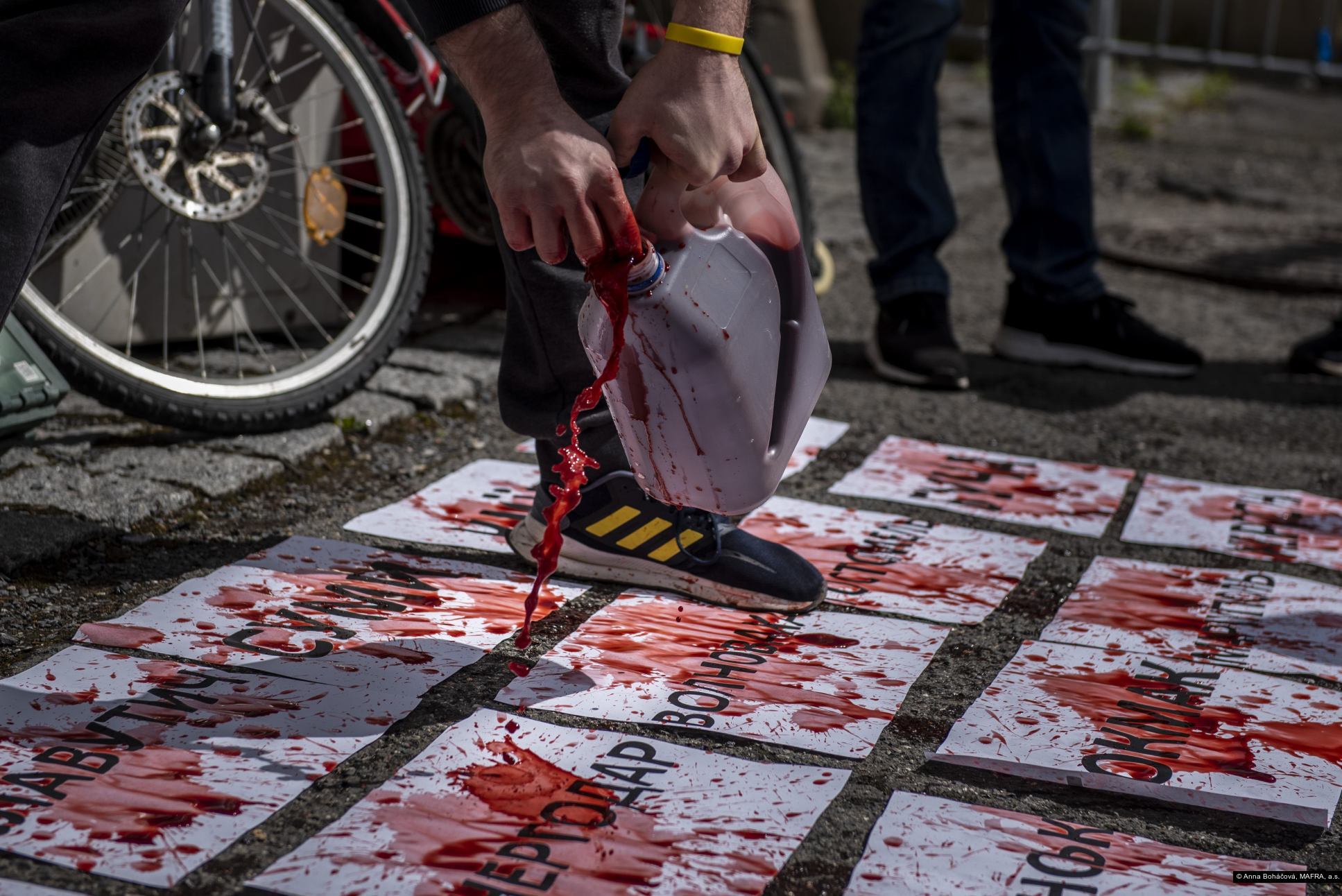 Anna Boháčová, MAFRA, a.s.