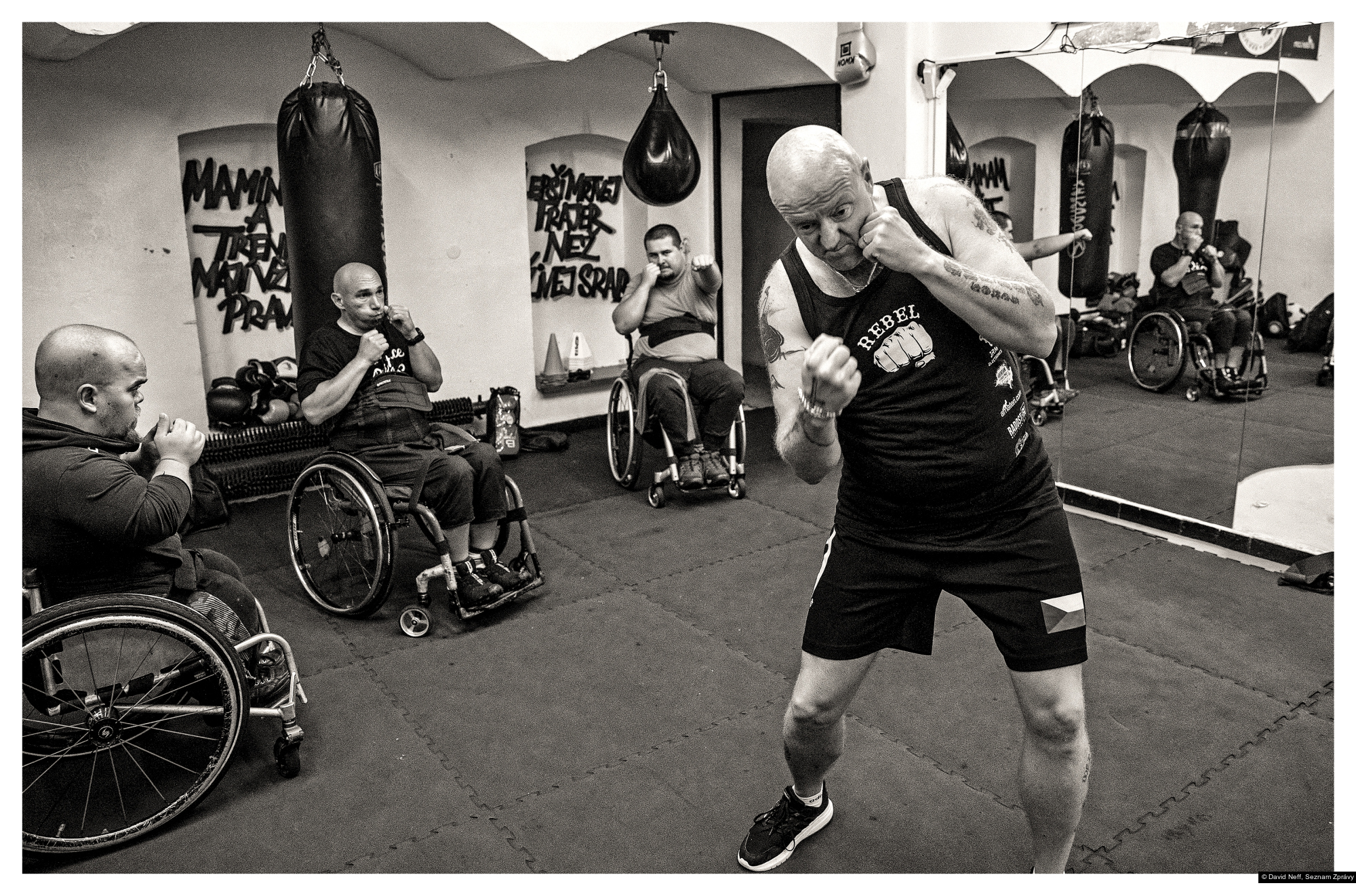 David Neff, Seznam Zprávy