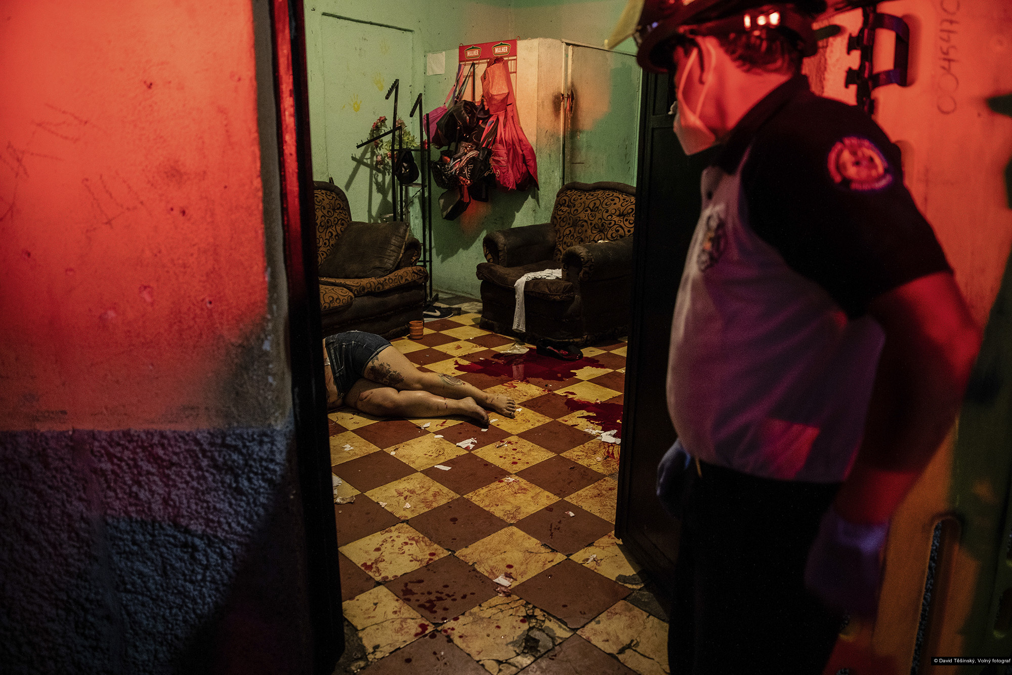 David Těšínský, Volný fotograf