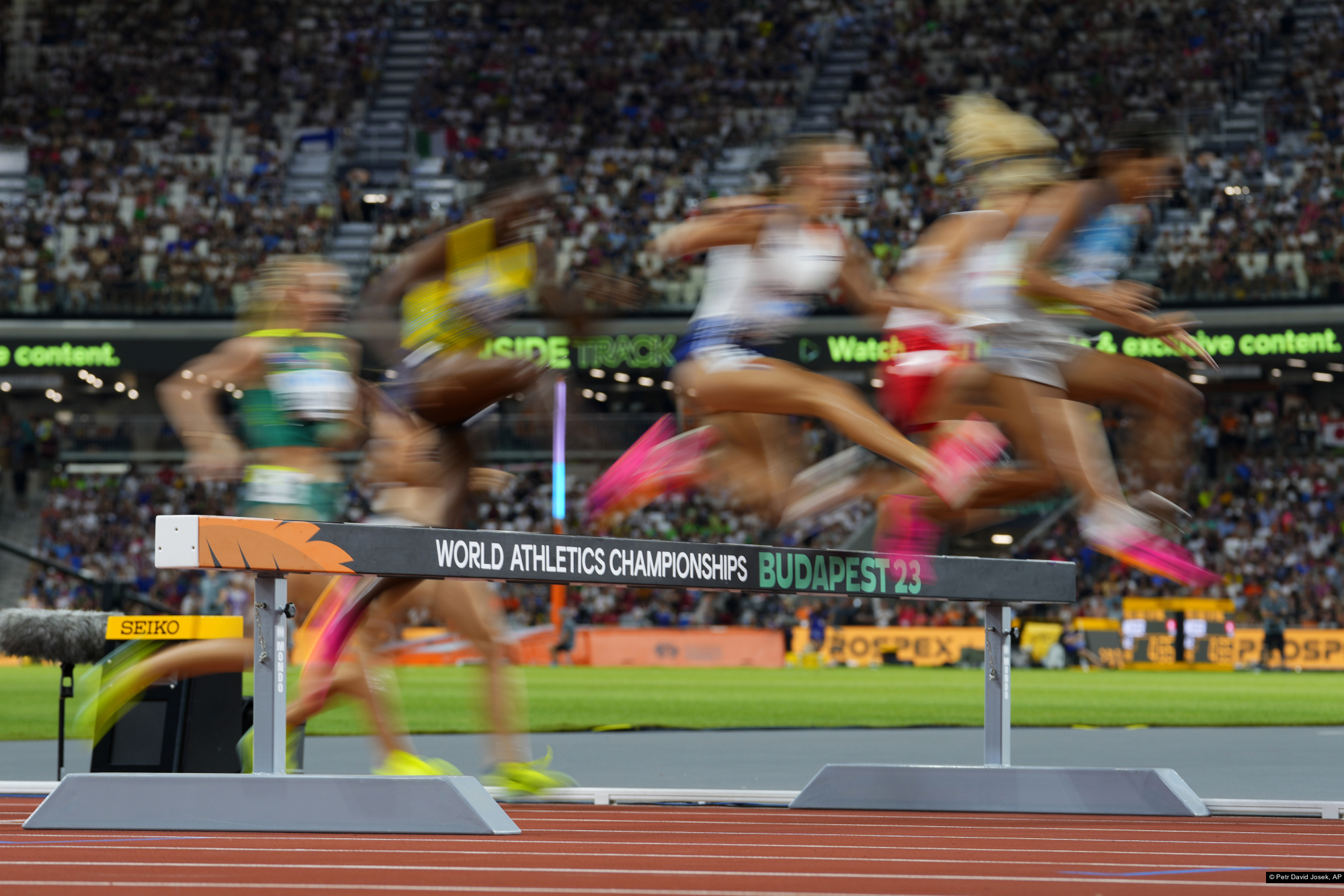 Petr David Josek, AP