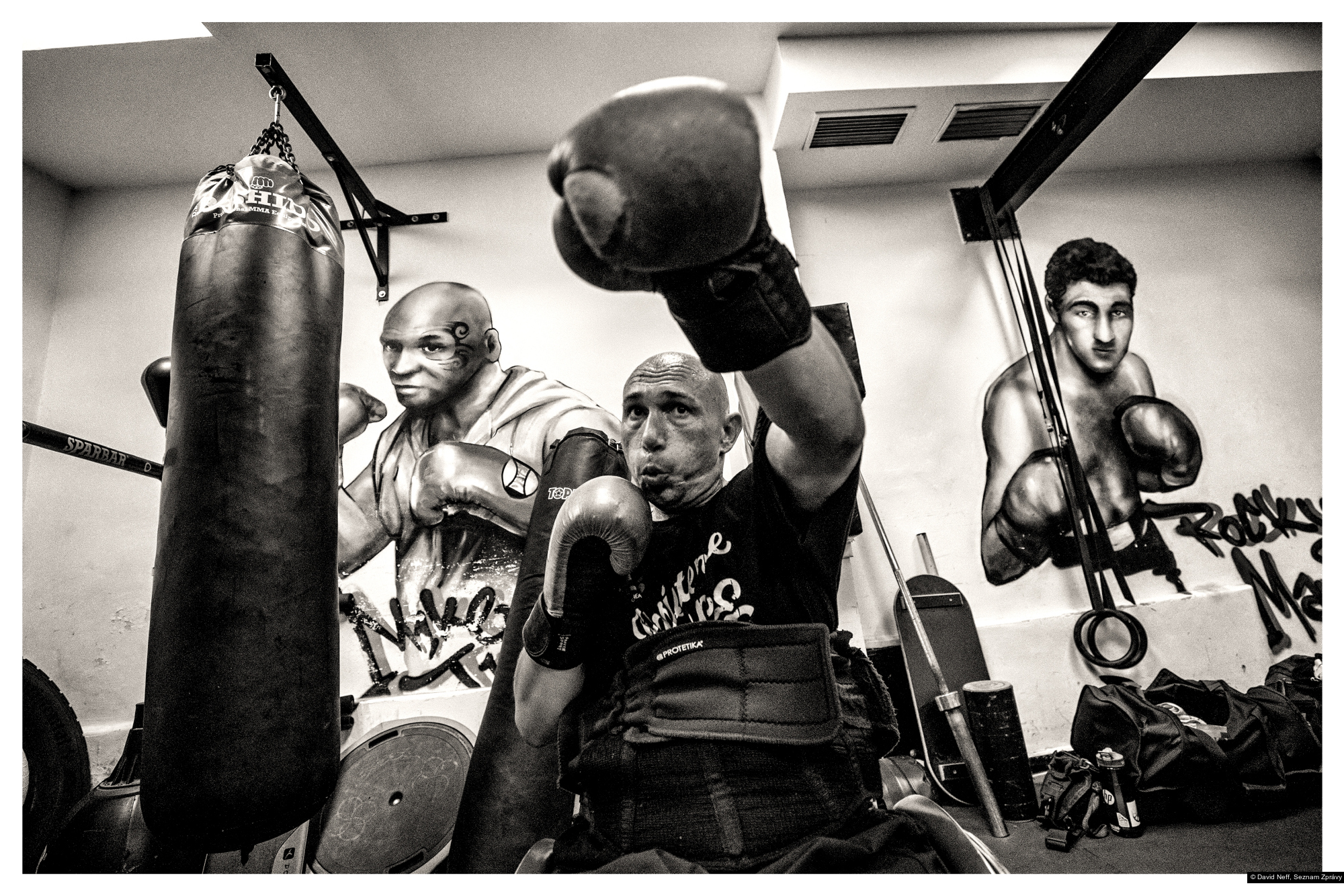 David Neff, Seznam Zprávy