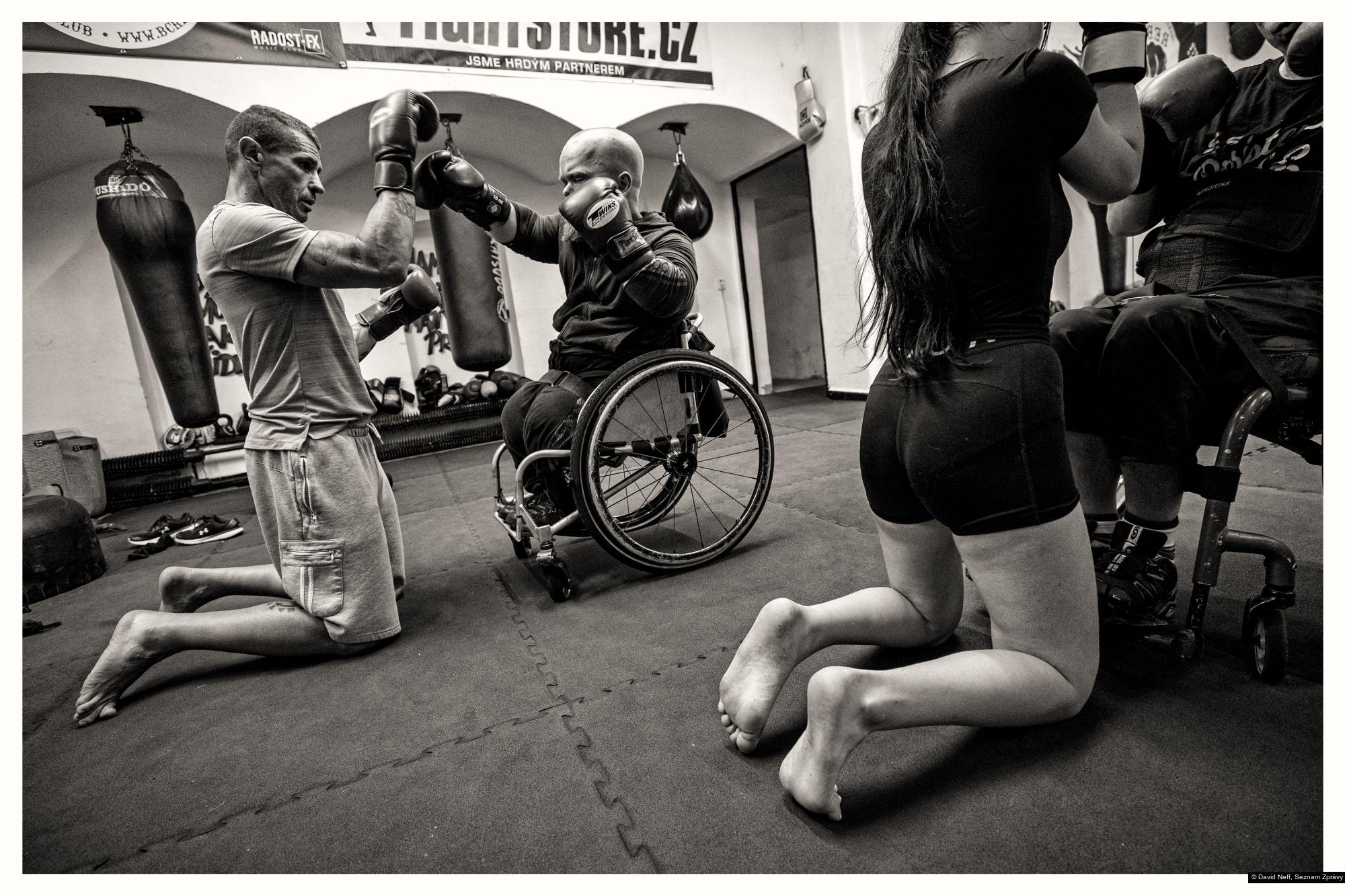 David Neff, Seznam Zprávy