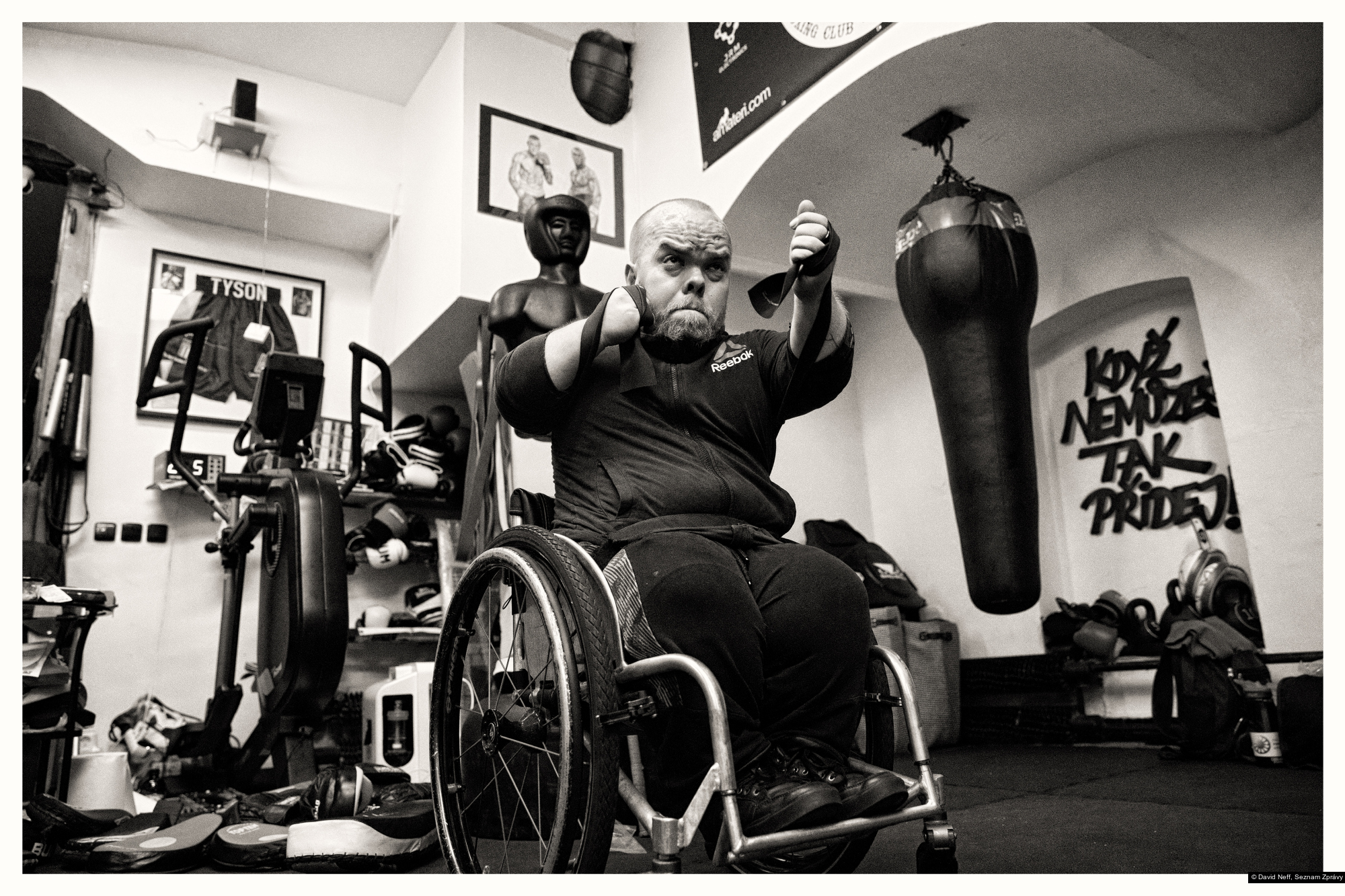 David Neff, Seznam Zprávy