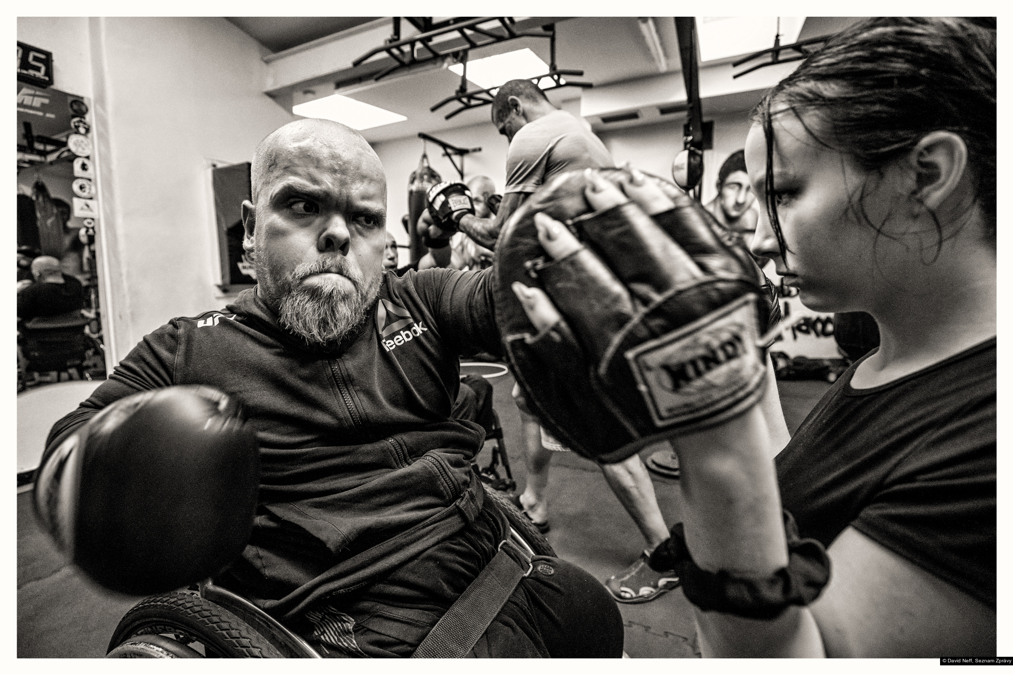 David Neff, Seznam Zprávy