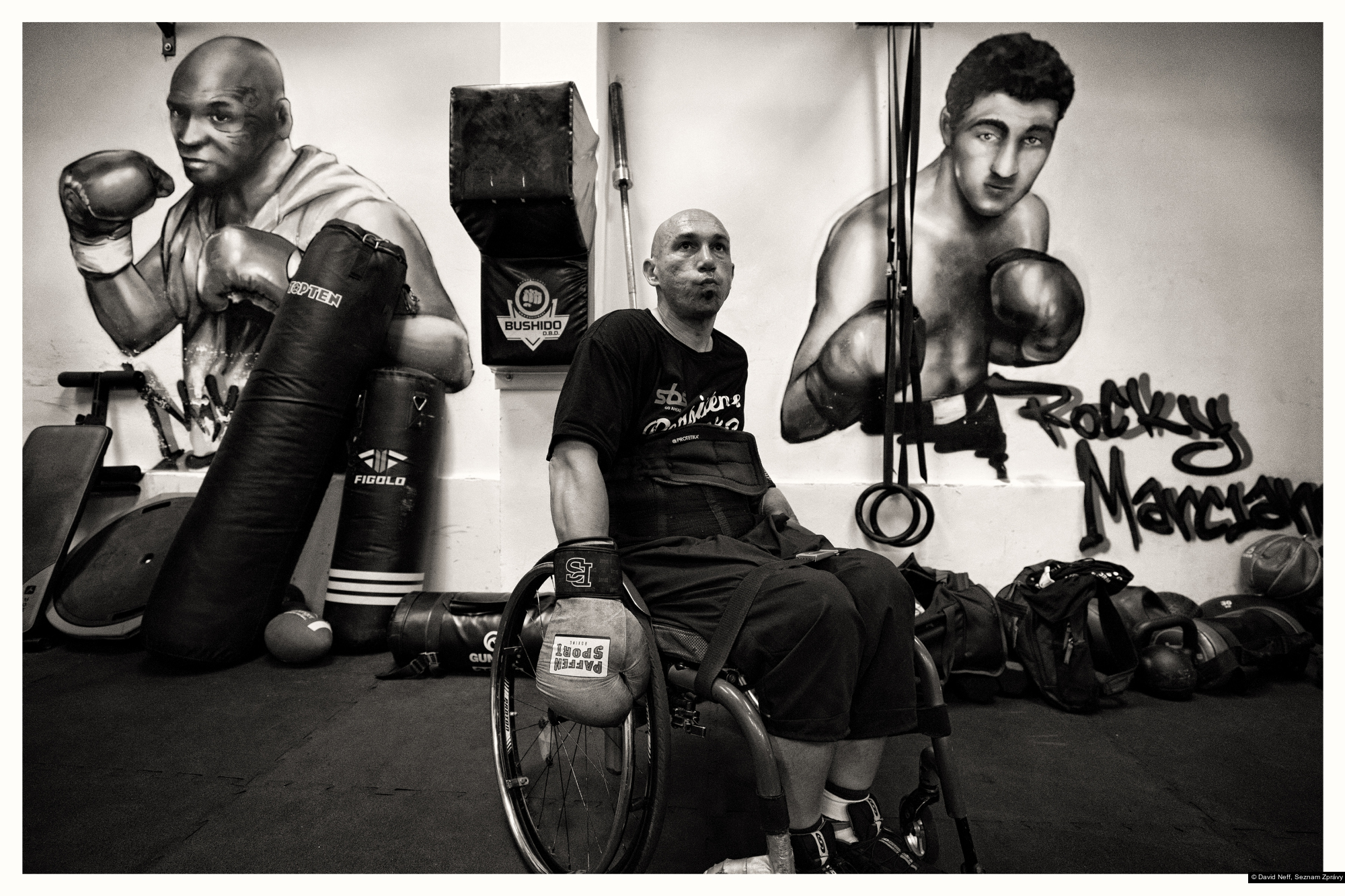 David Neff, Seznam Zprávy