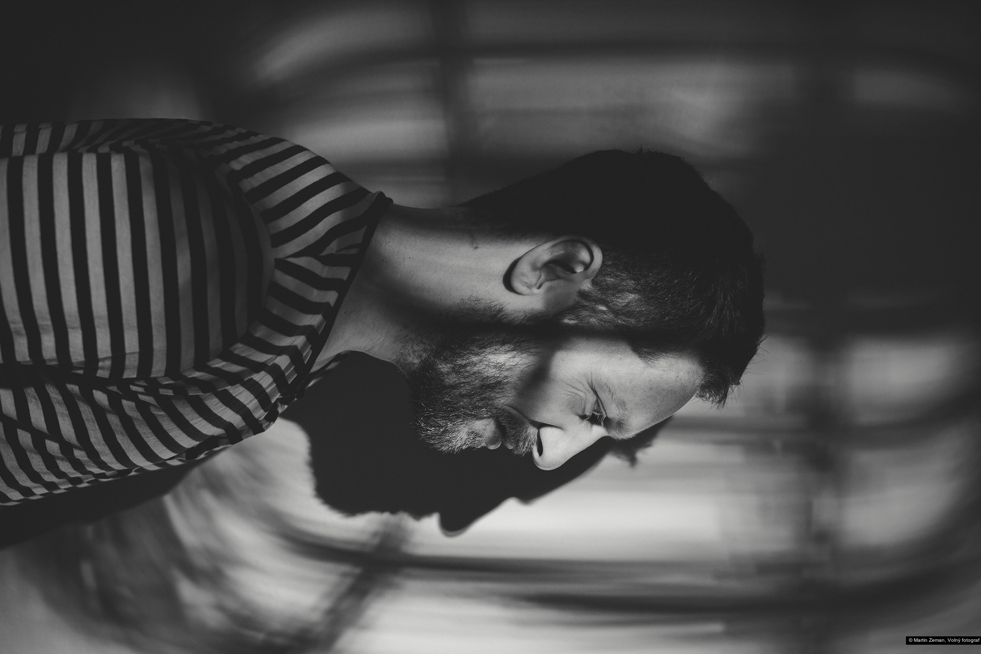 Martin Zeman, Volný fotograf