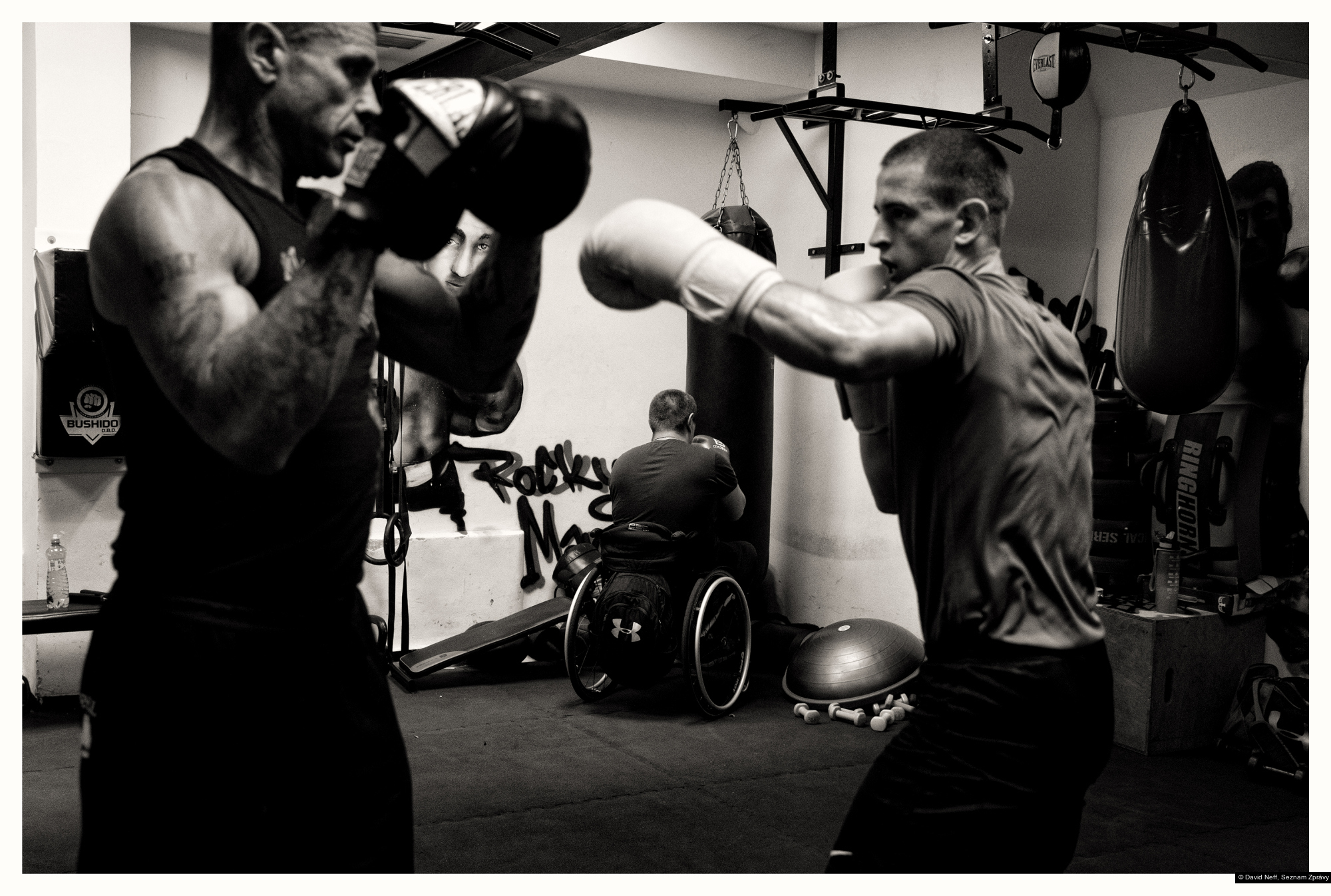 David Neff, Seznam Zprávy