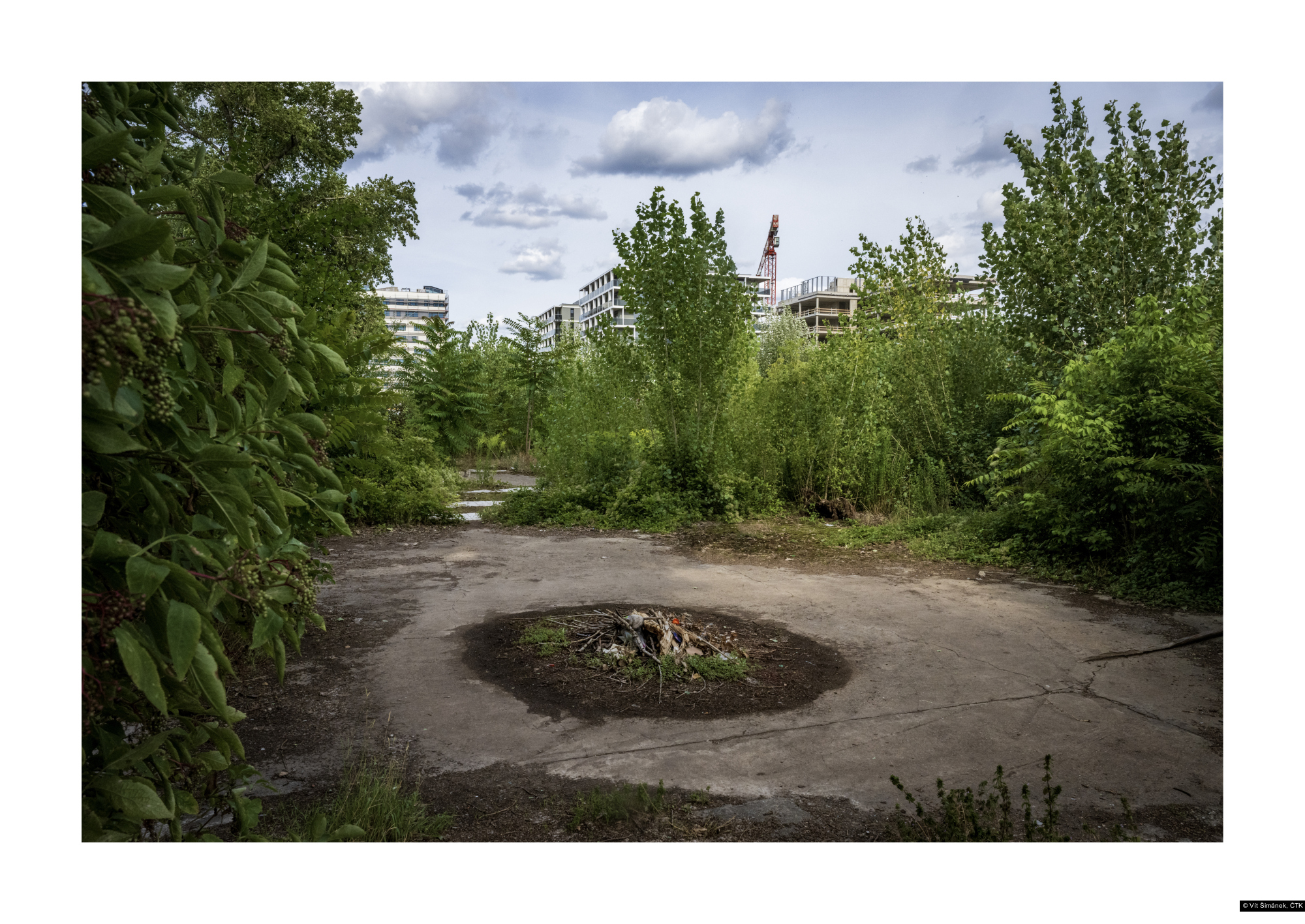 Vít Šimánek, ČTK