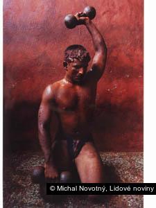 Michal Novotný, Lidové noviny