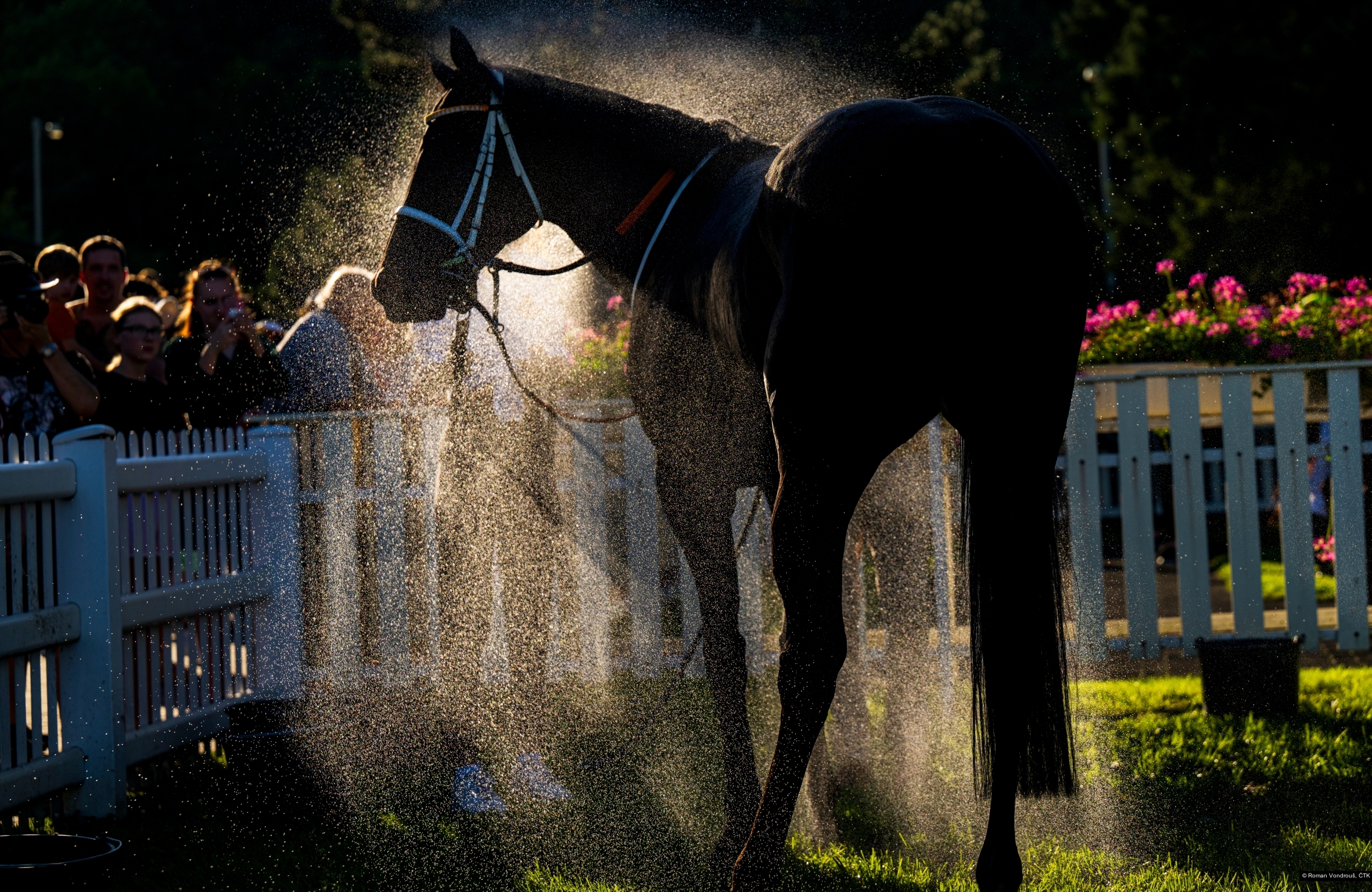 Roman Vondrouš, ČTK
