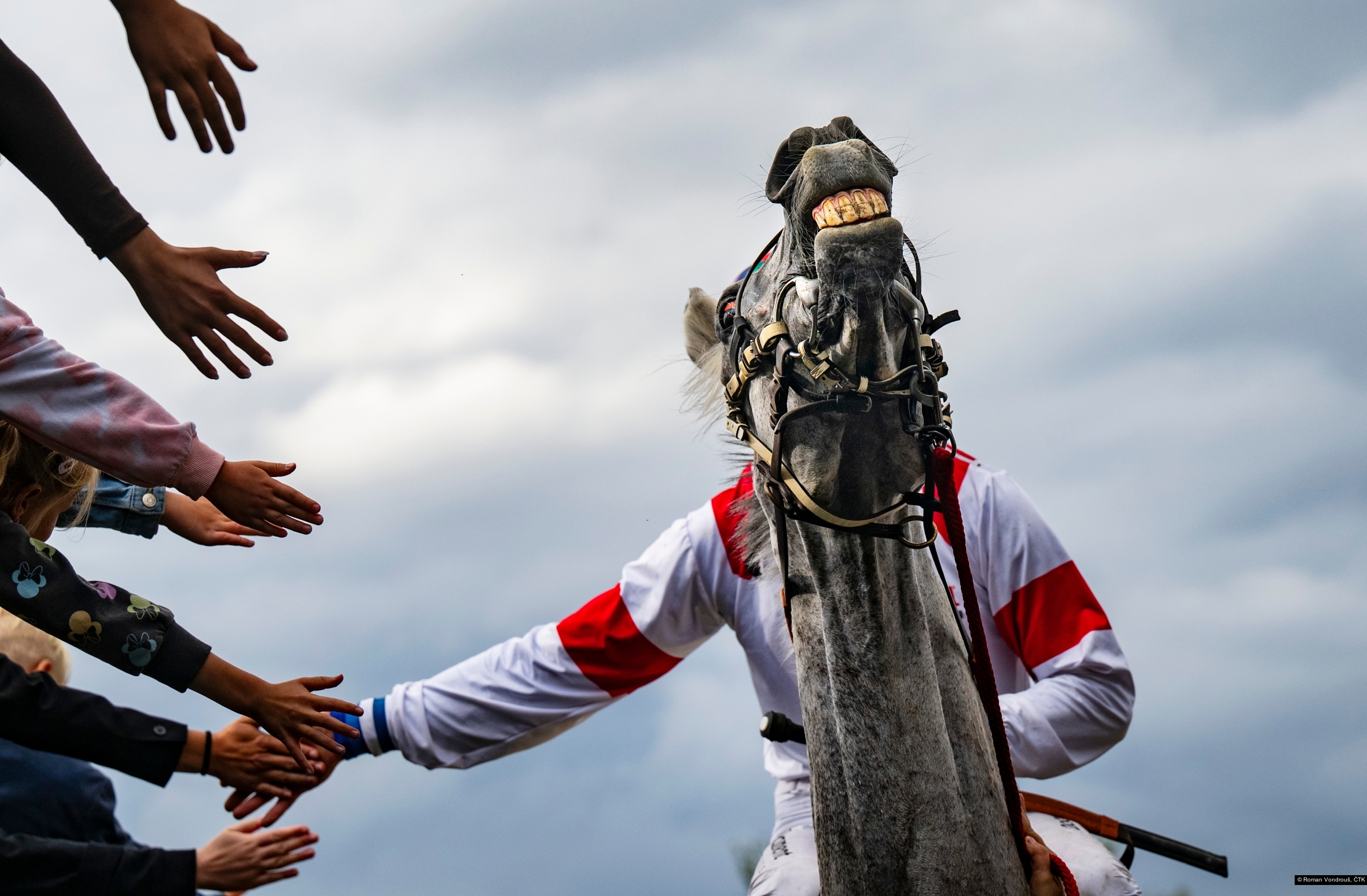Roman Vondrouš, ČTK