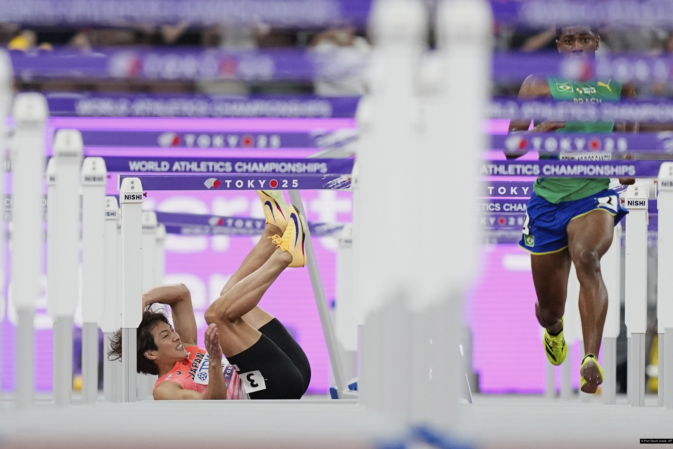 Petr David Josek, AP