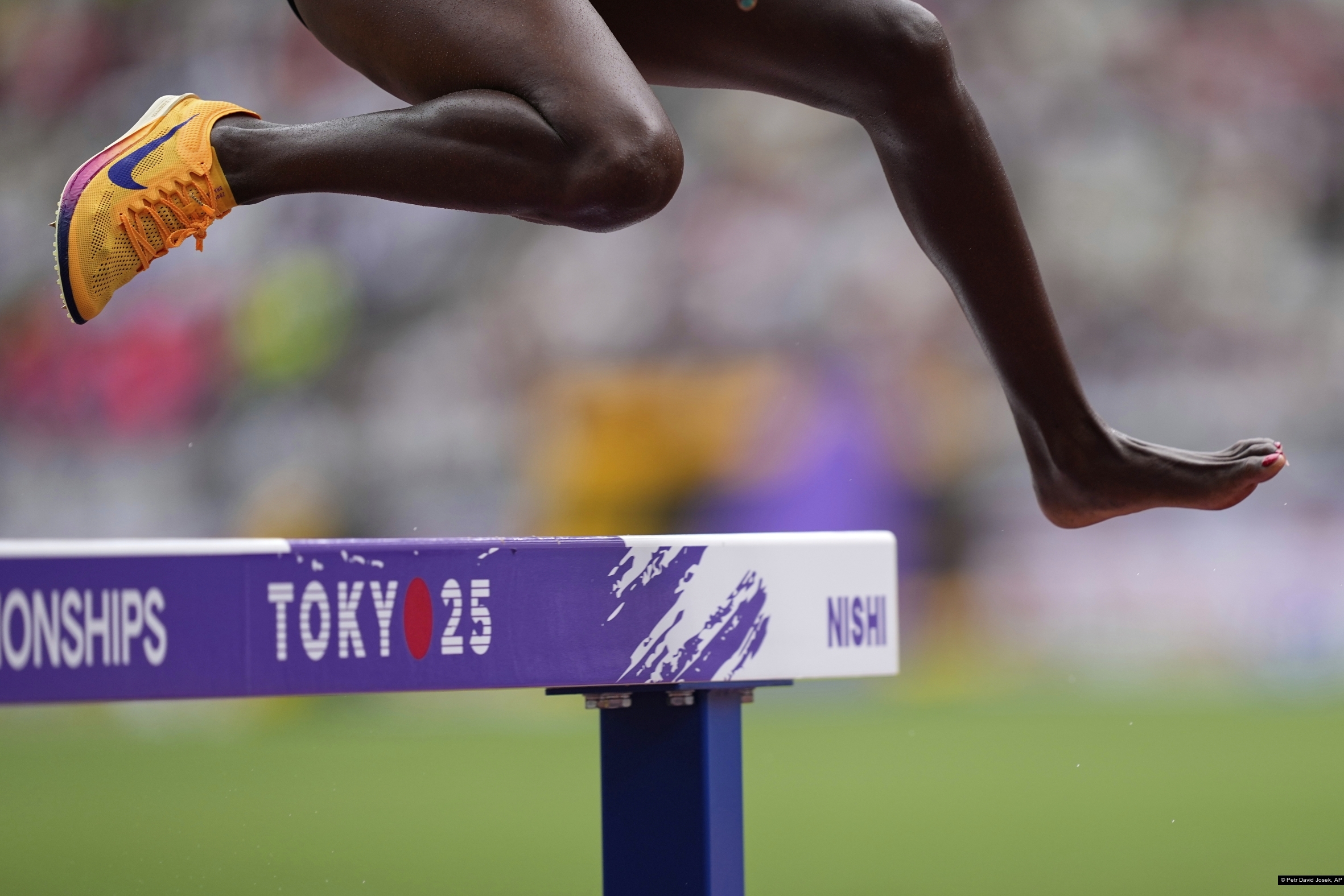 Petr David Josek, AP