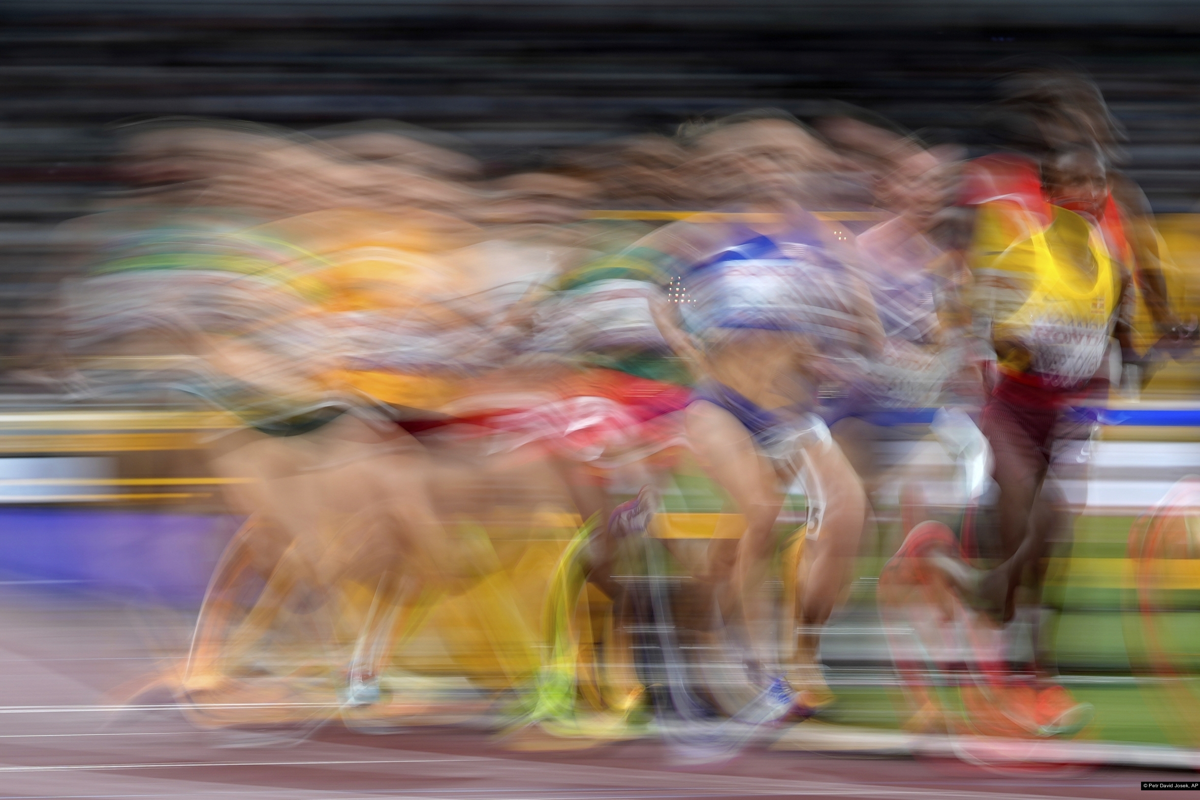 Petr David Josek, AP