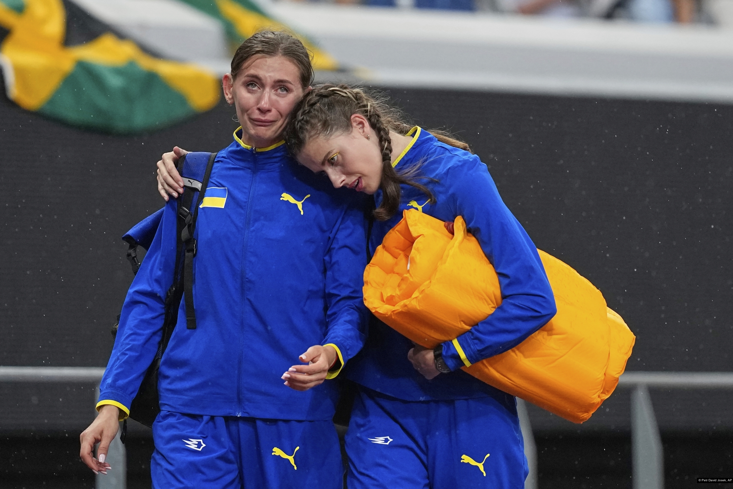 Petr David Josek, AP