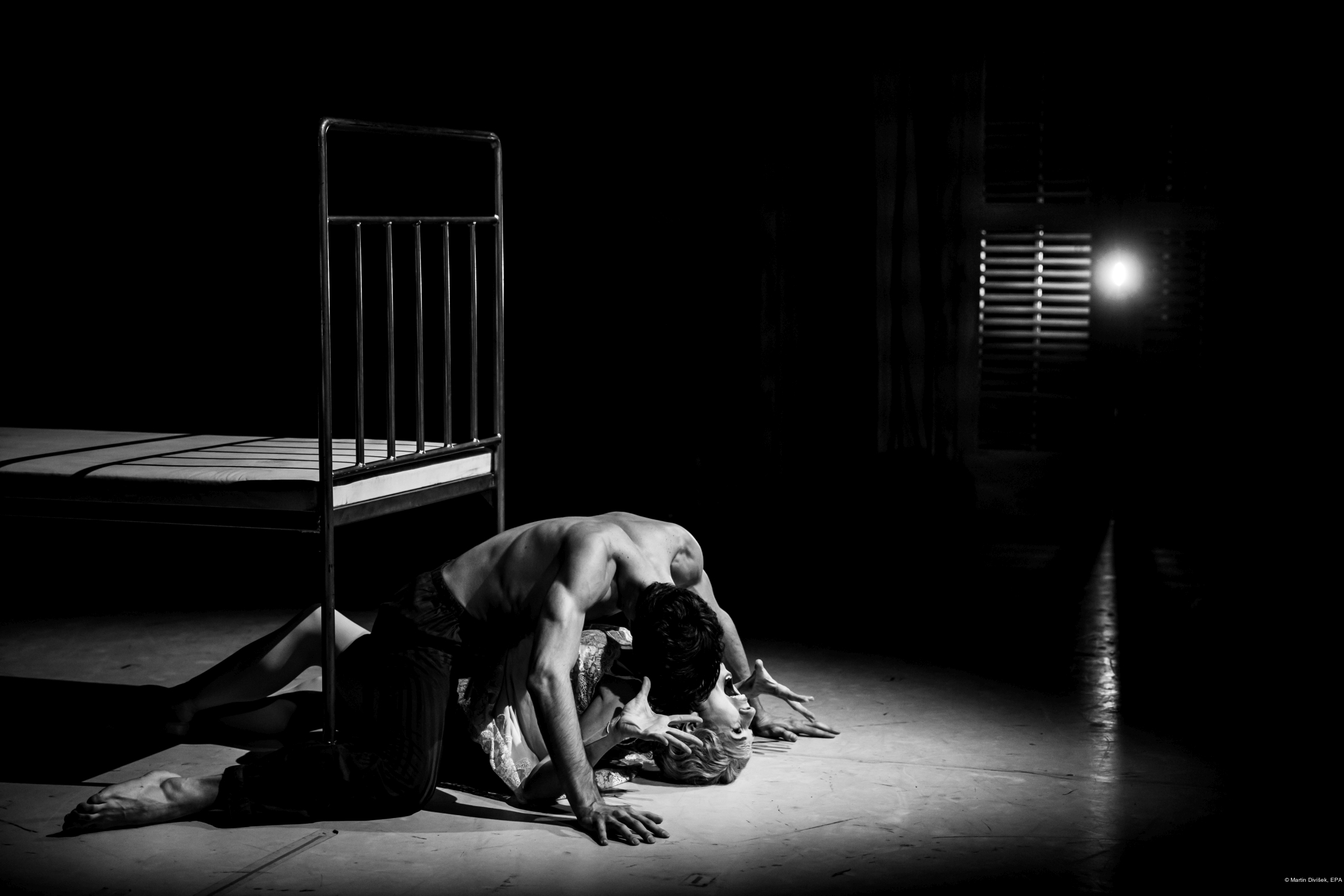 Martin Divíšek, EPA