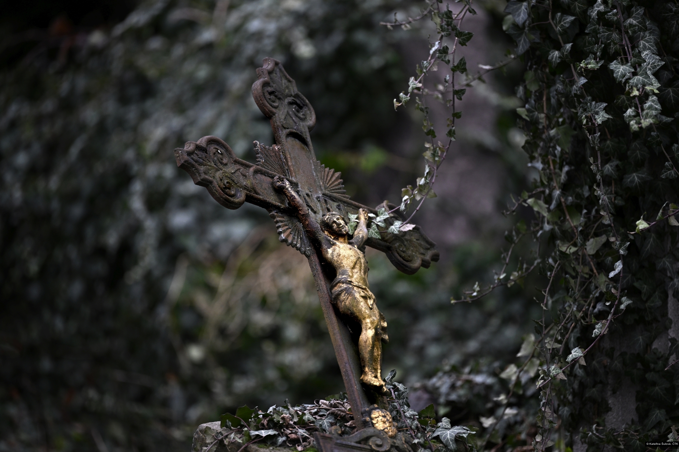 Kateřina Šulová, ČTK