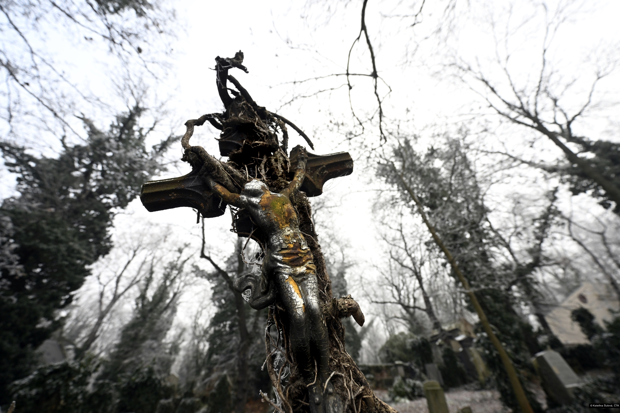 Kateřina Šulová, ČTK