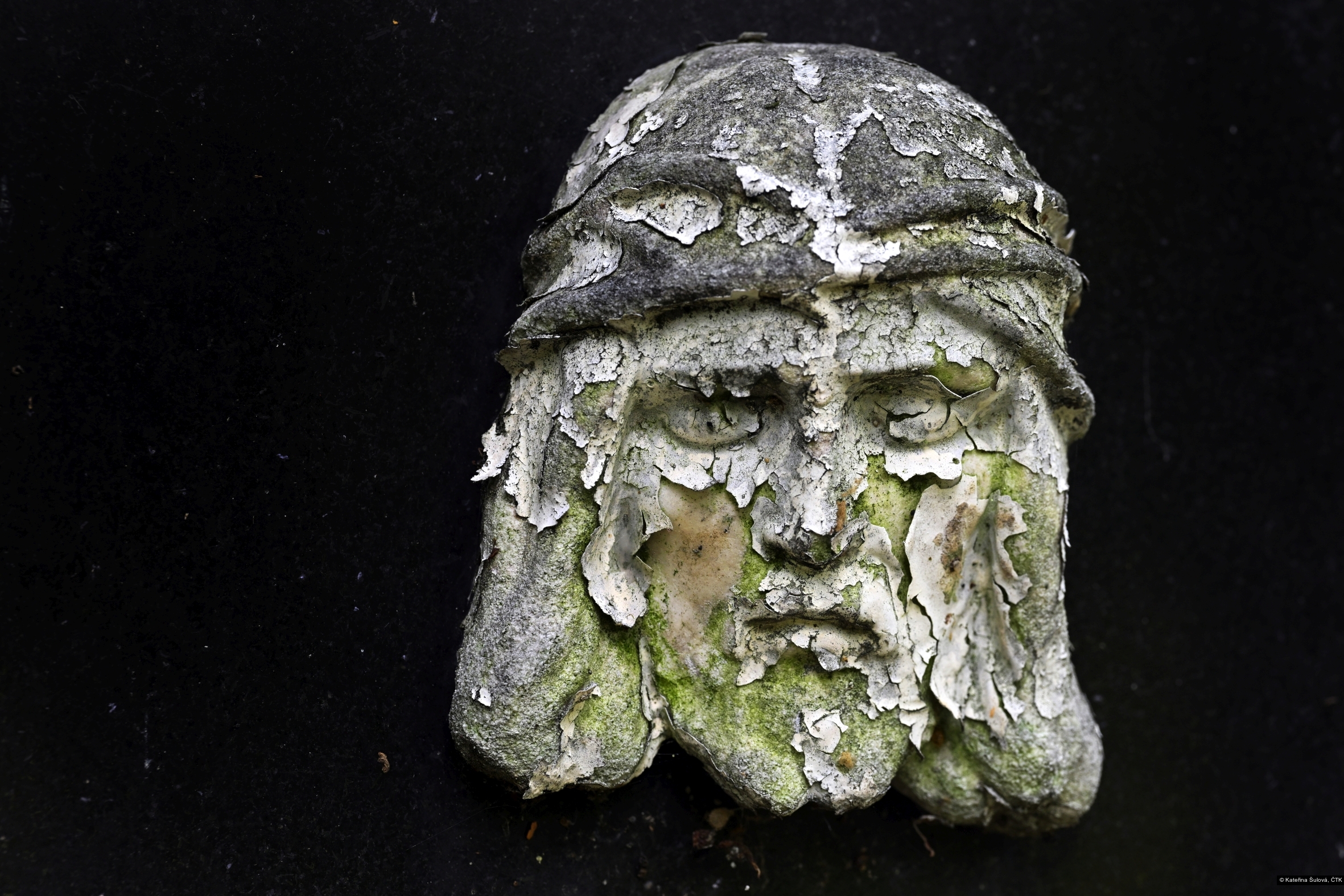 Kateřina Šulová, ČTK