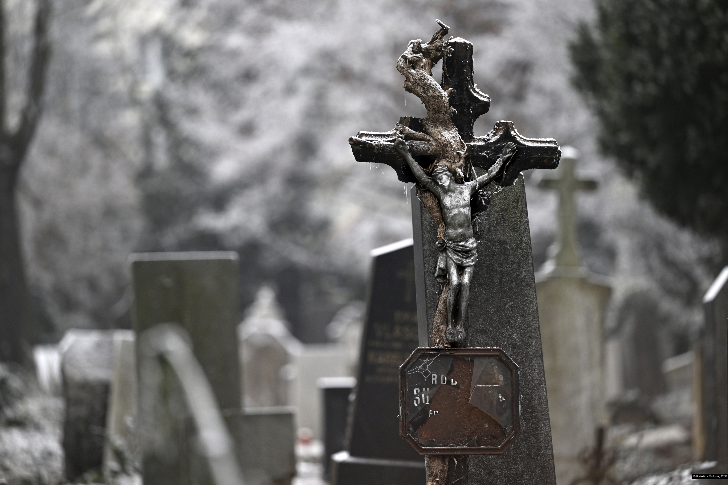 Kateřina Šulová, ČTK