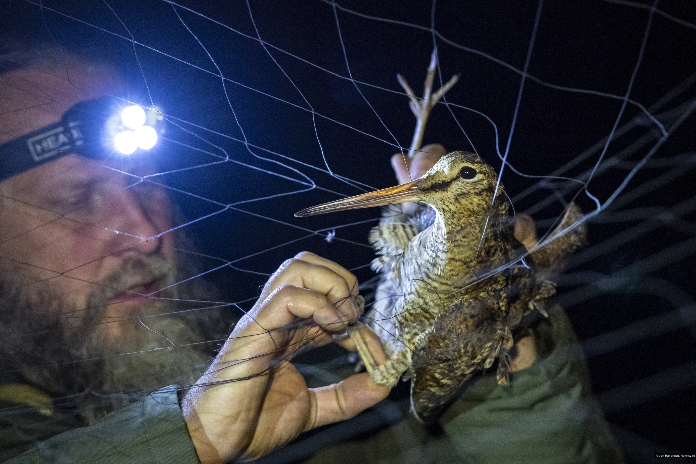Jan Handrejch, Novinky.cz