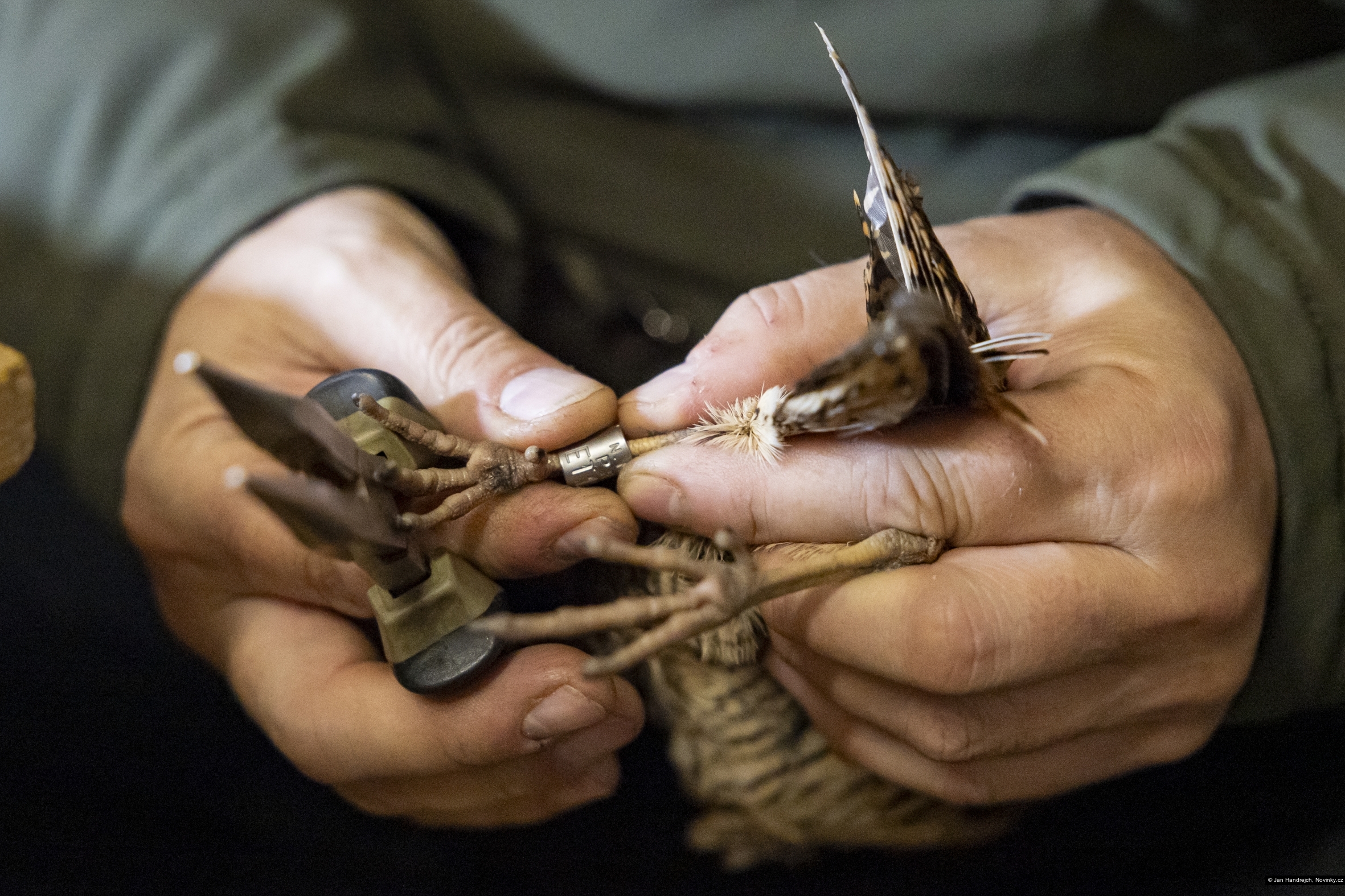 Jan Handrejch, Novinky.cz
