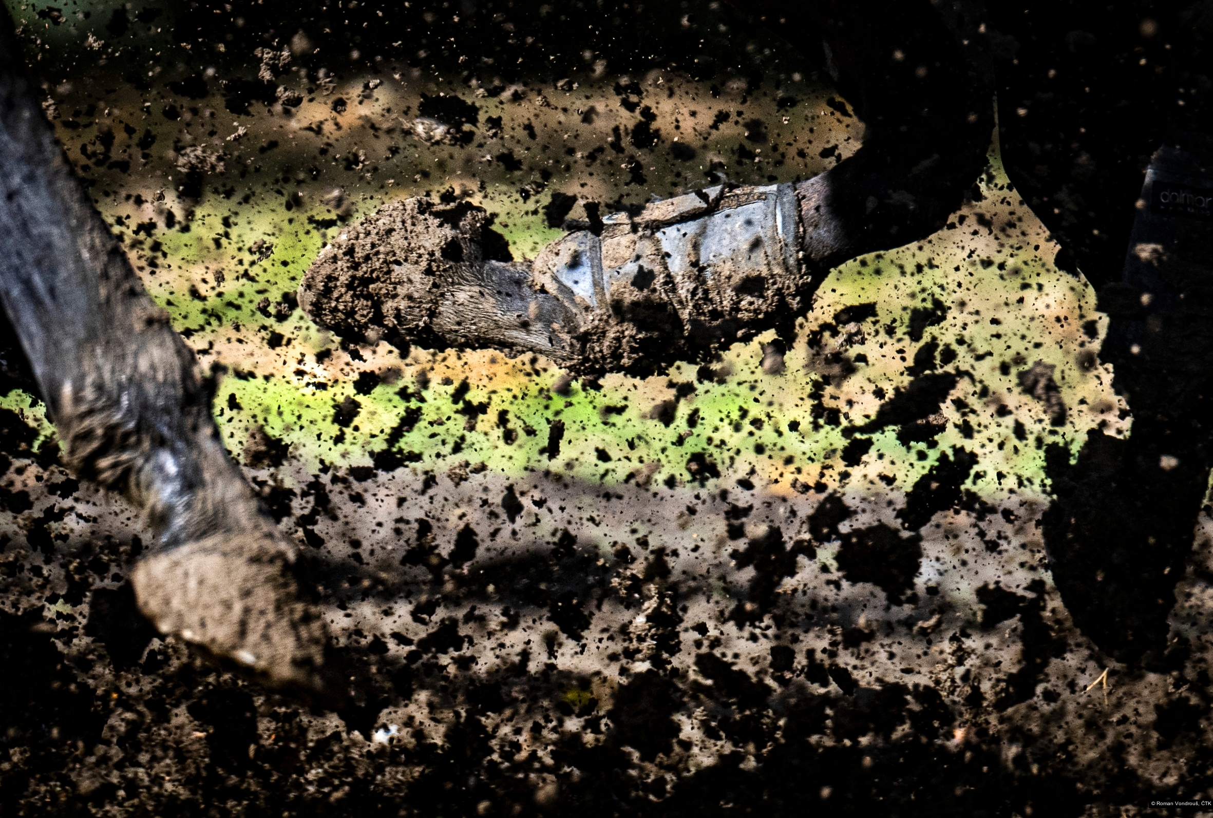 Roman Vondrouš, ČTK